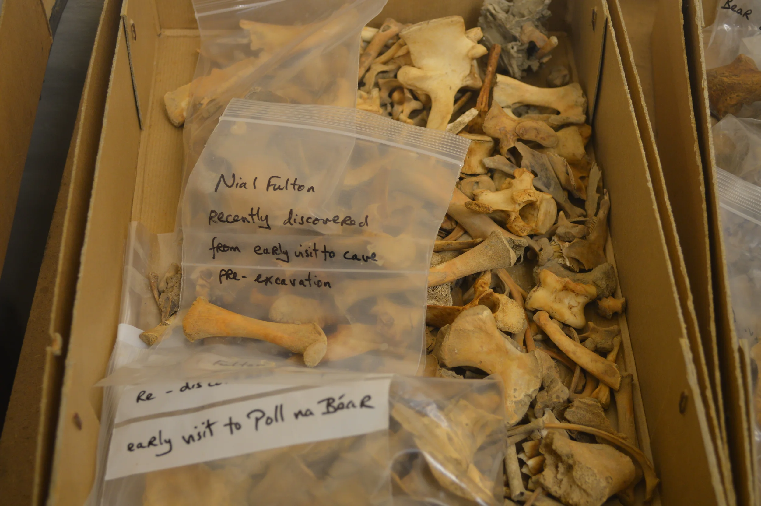  The Stores of the Natural History Museum  Photo by Adam O'Keeffe&nbsp; © 2015  