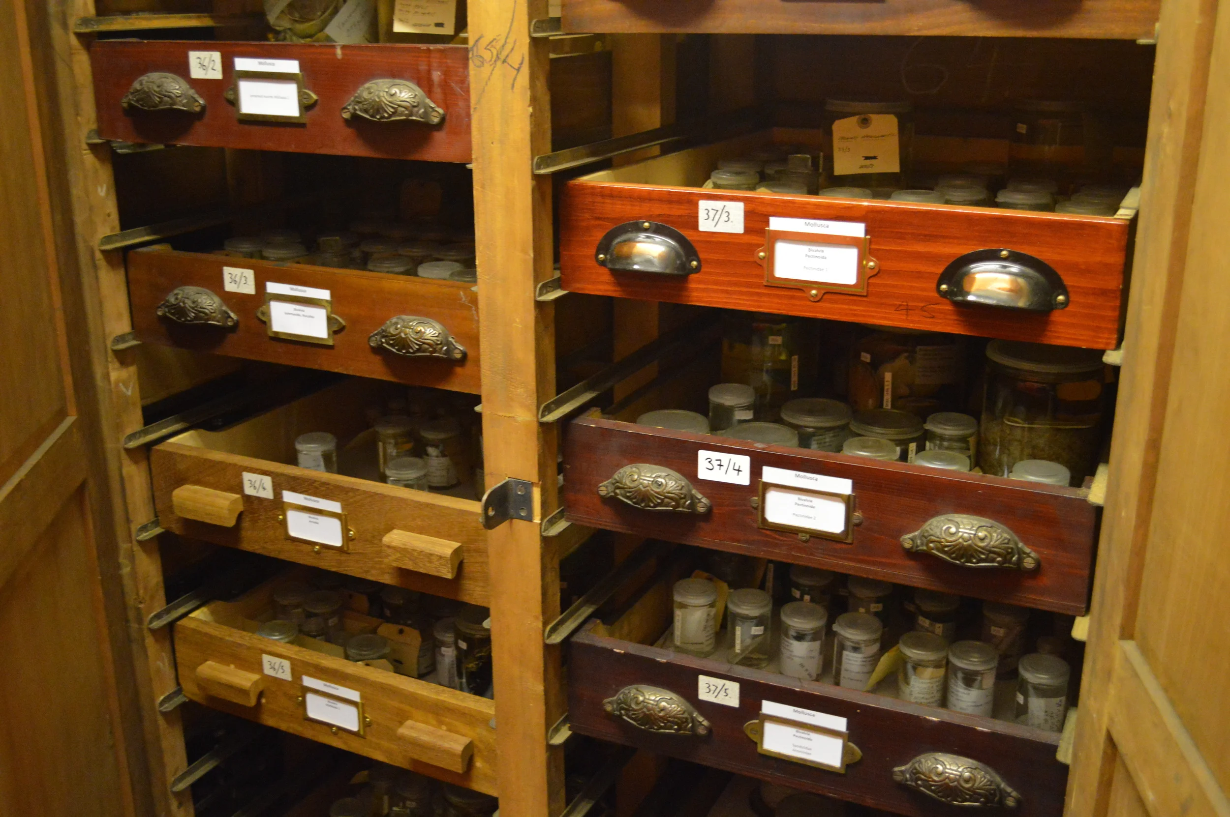  The Stores of the Natural History Museum  Photo by Adam O'Keeffe&nbsp; © 2015  