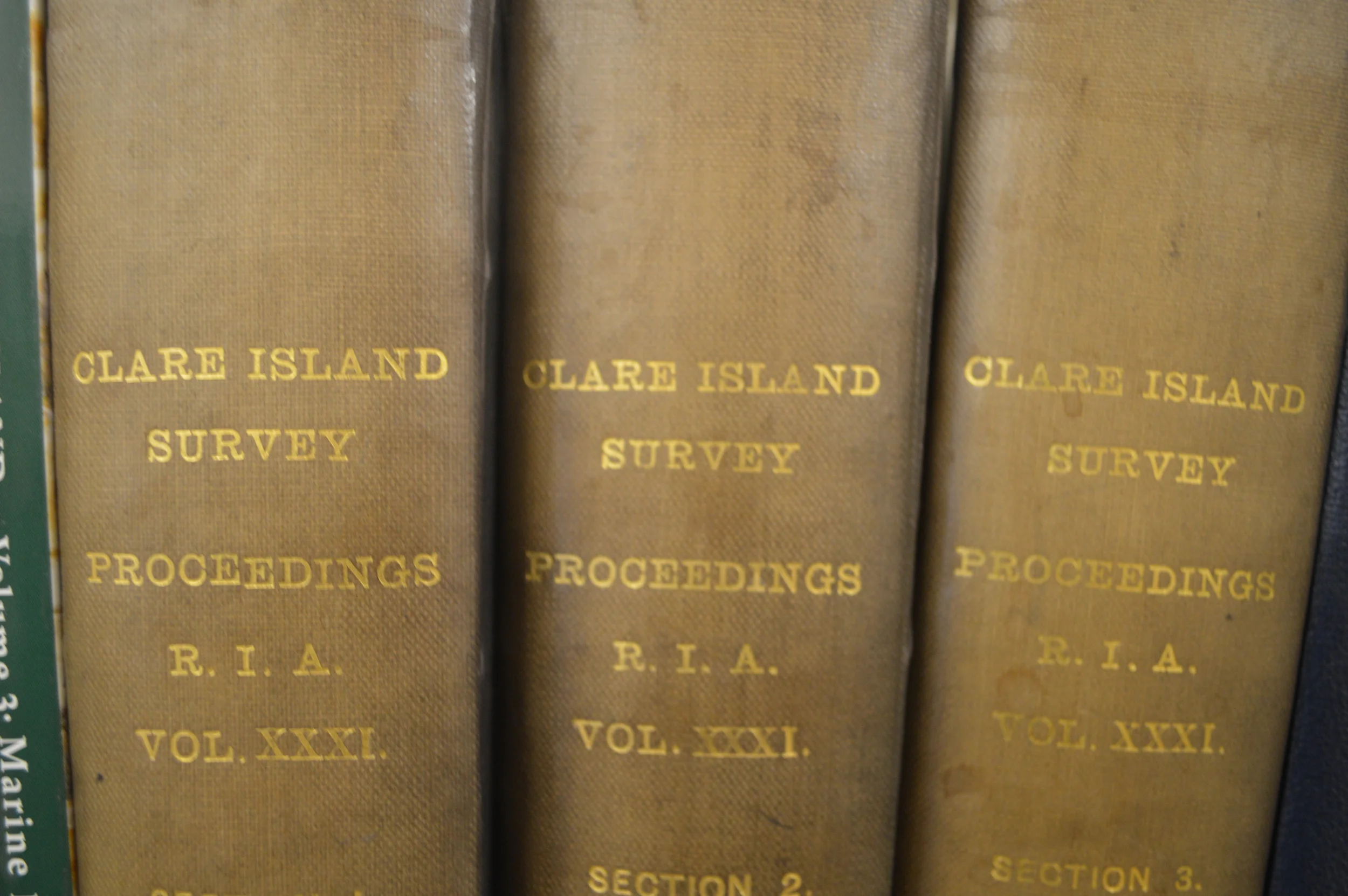  The Stores of the Natural History Museum  Photo by Adam O'Keeffe&nbsp; © 2015  