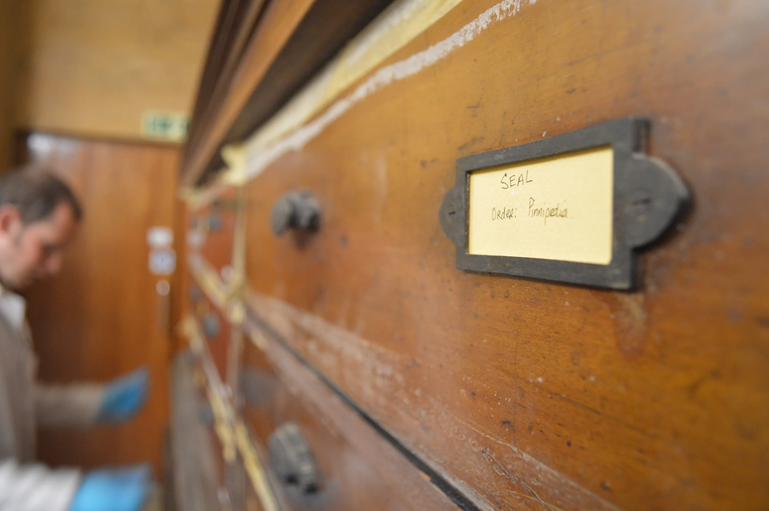  The Stores of the Natural History Museum  Photo by Adam O'Keeffe&nbsp; © 2015  