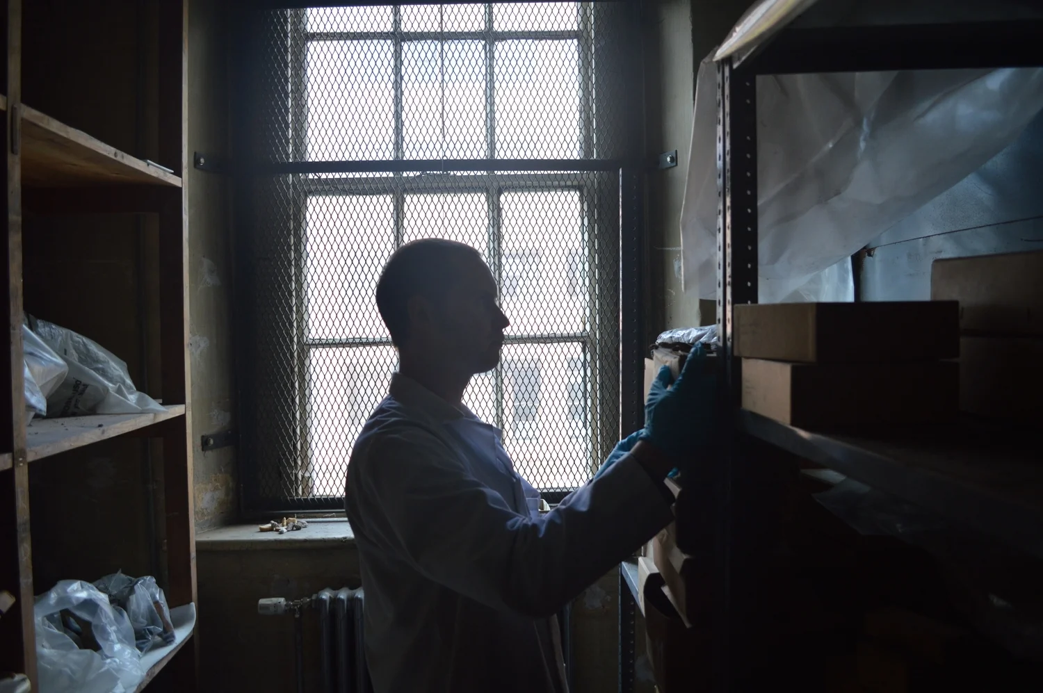  The Stores of the Natural History Museum  Photo by Adam O'Keeffe&nbsp; © 2015  