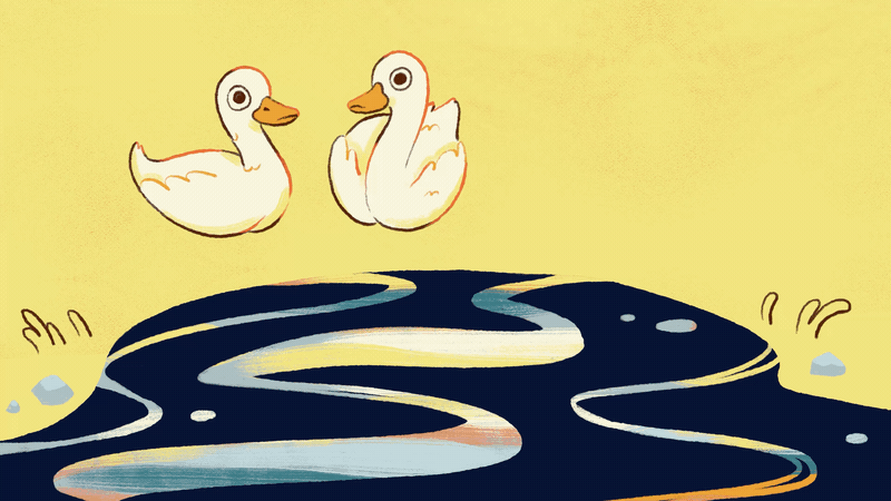 ComoResumirDucks.gif