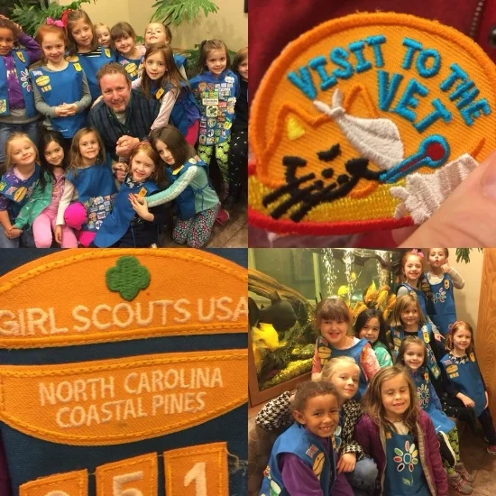 DAISY SCOUTS.jpg