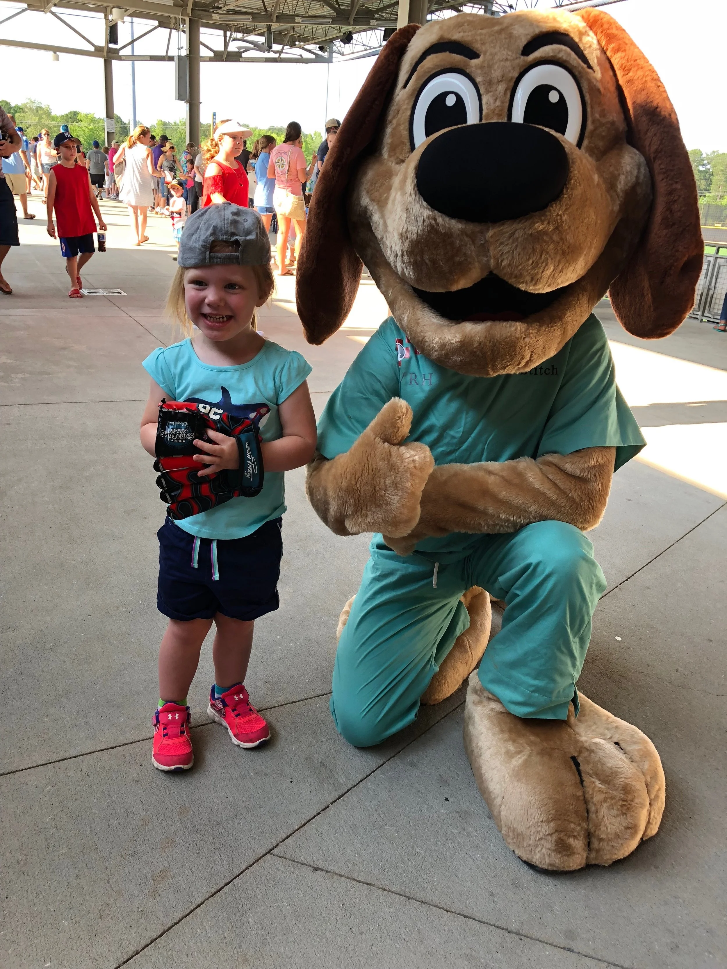 Salamanders Baseball