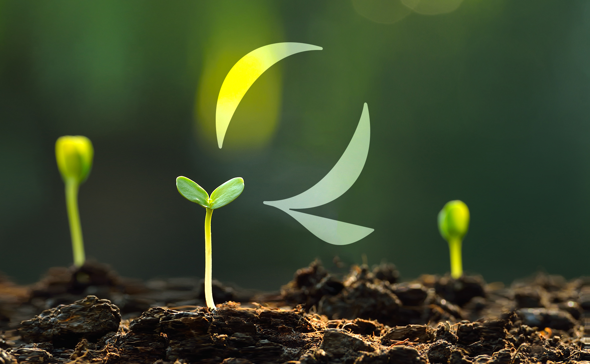 iStock-511976070 Q.png