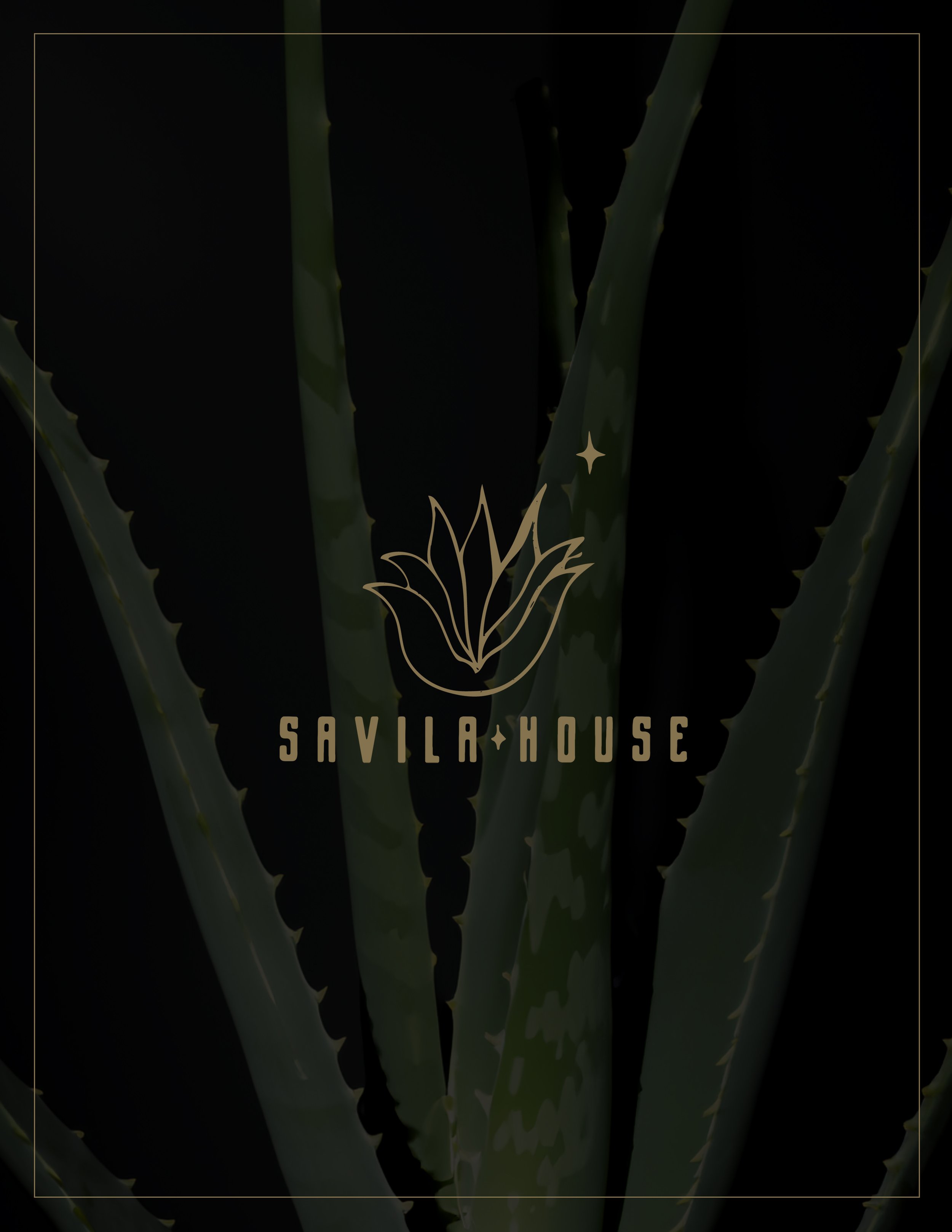 Savila House Cover.jpg