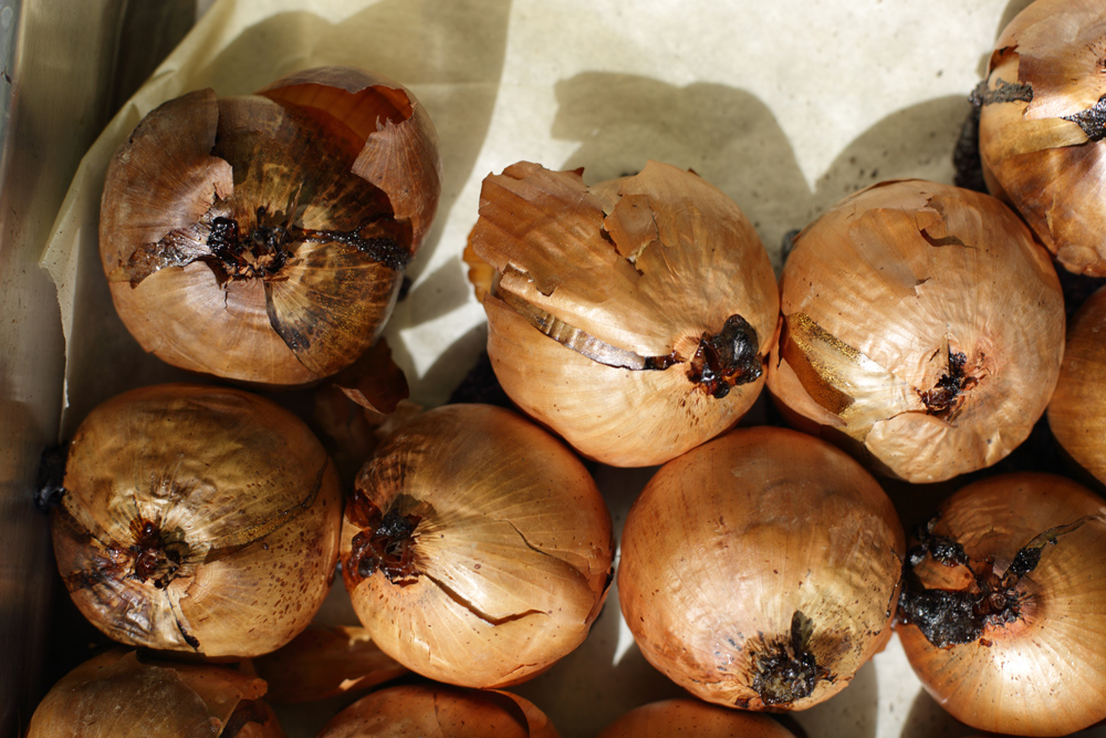 onions roasted for cipolle ripieno