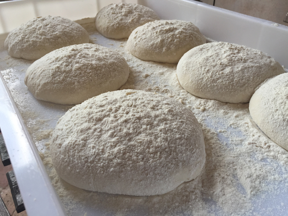 dough balls ready for second rise