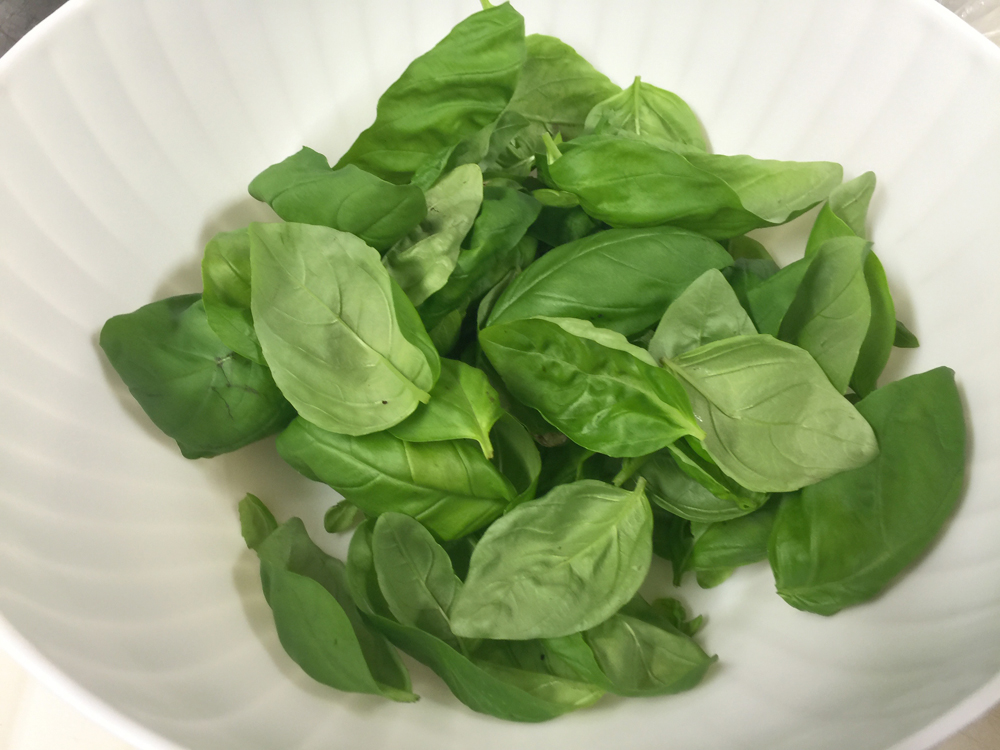 basil leaves prepped for pesto