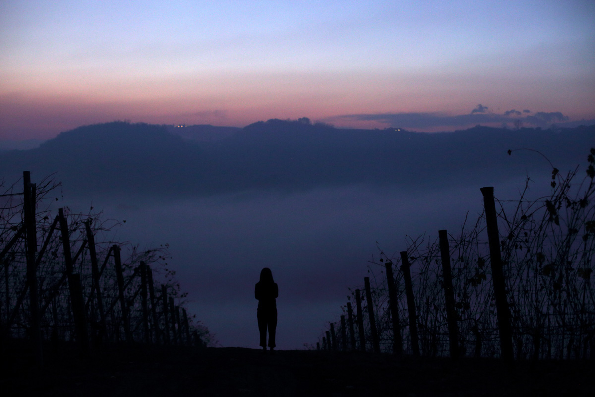 Autumn in the Langhe