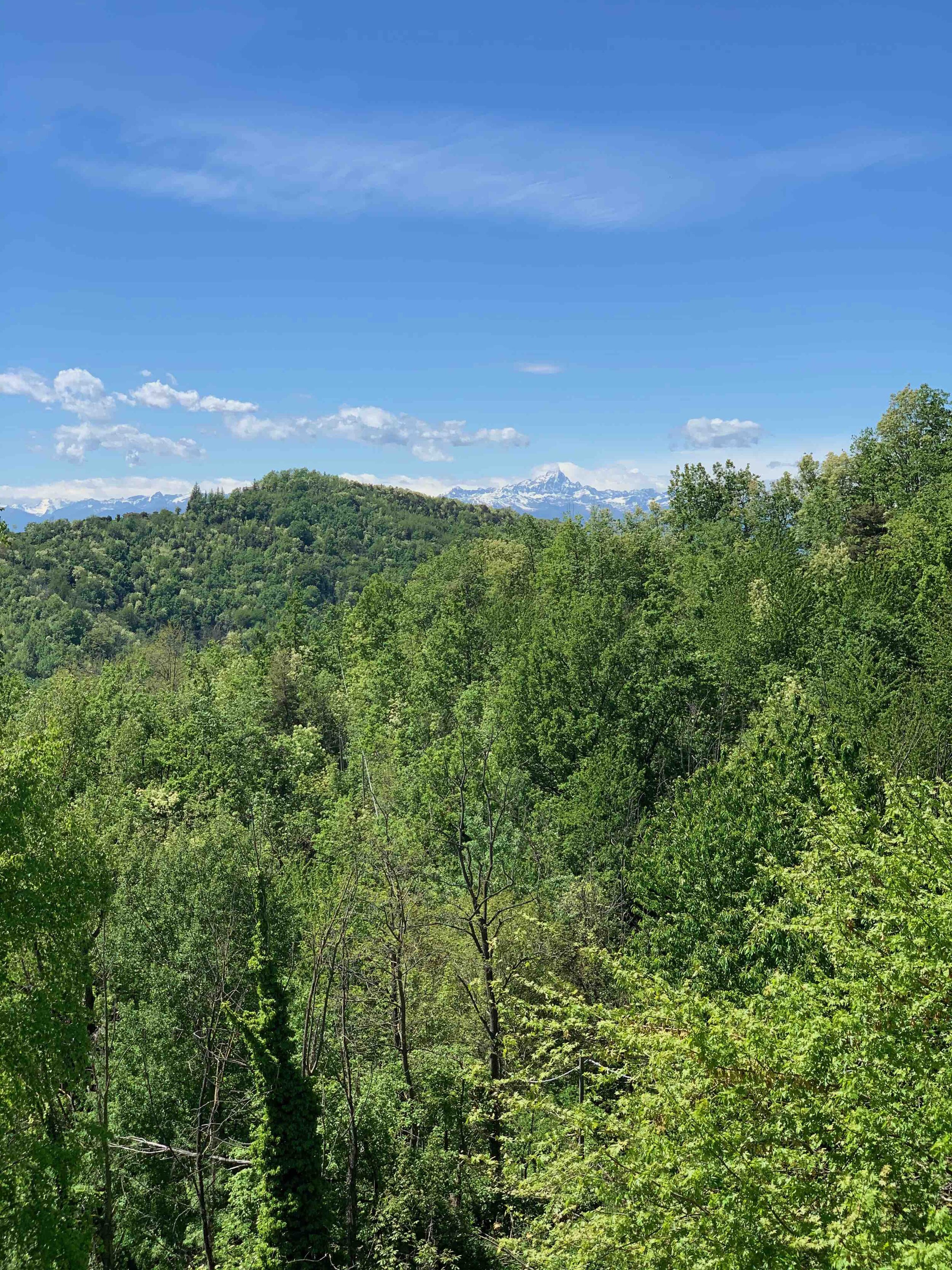 Monviso from San Lorenzo.jpg