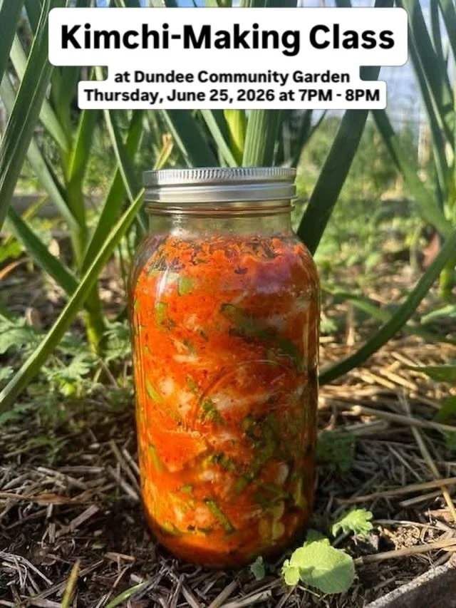 Join us on Thursday, June 25, 2026 at 7PM - 8PM
For Kimchi-Making Class
At Dundee Community Garden