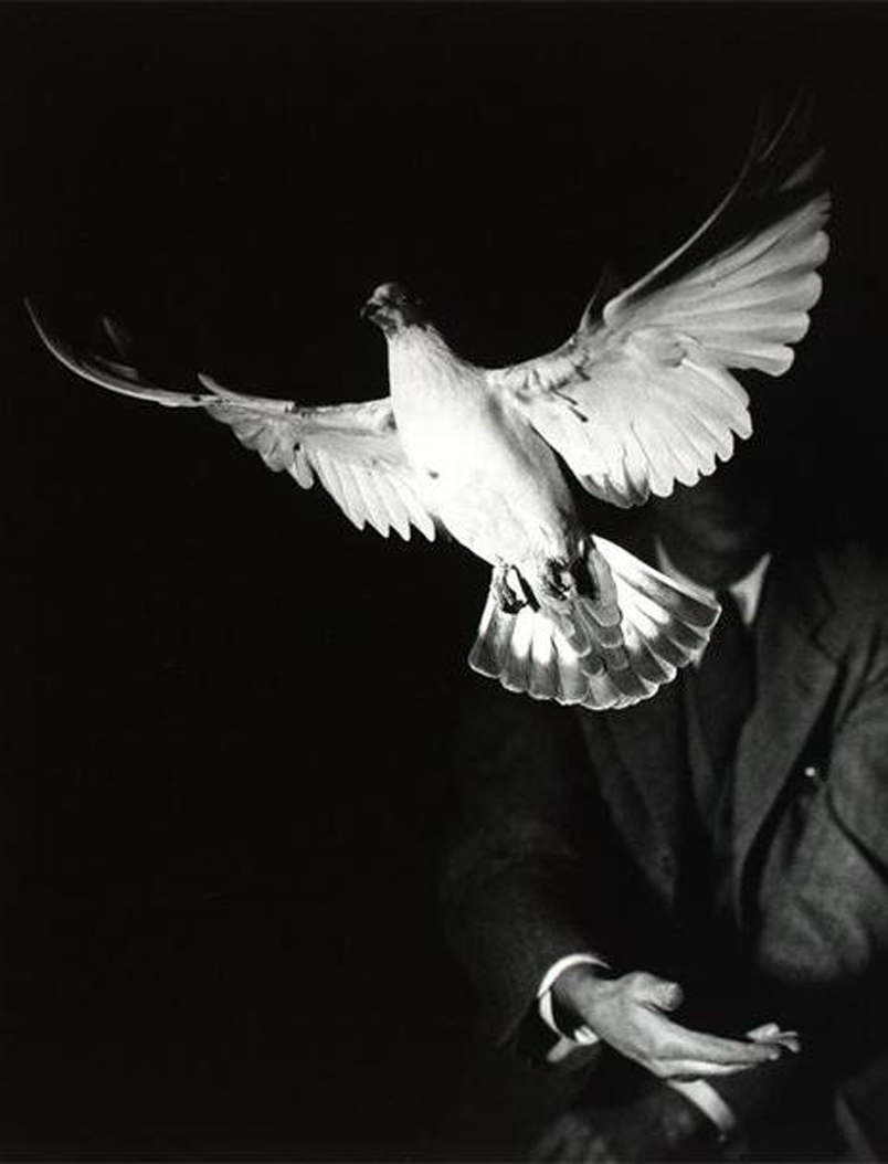 Harold E. Edgerton tumblr_llslg5tkxk1qcmo9qo1_1280.jpeg