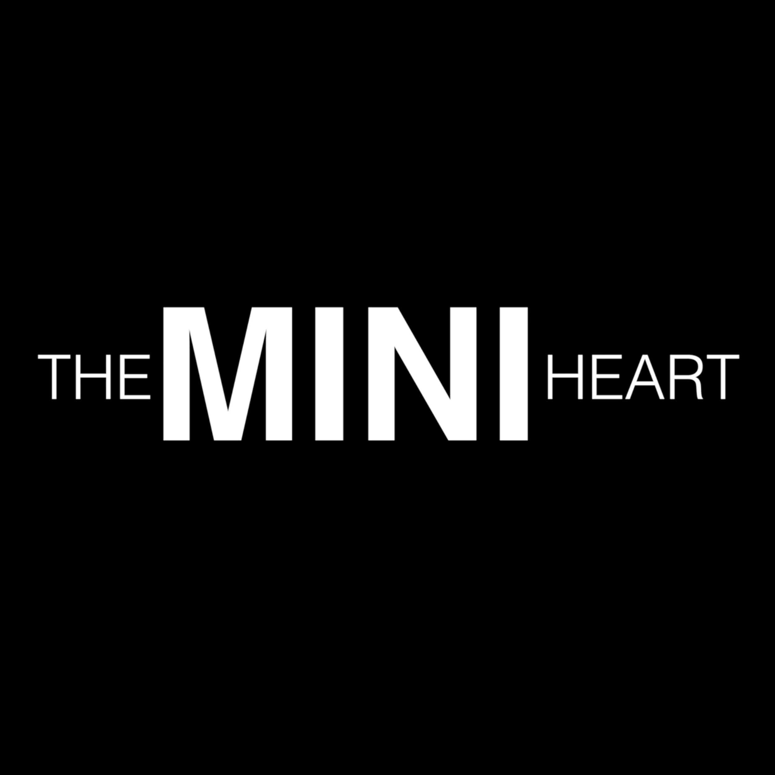 BMW Audiovisual Installation | The MINI Heart