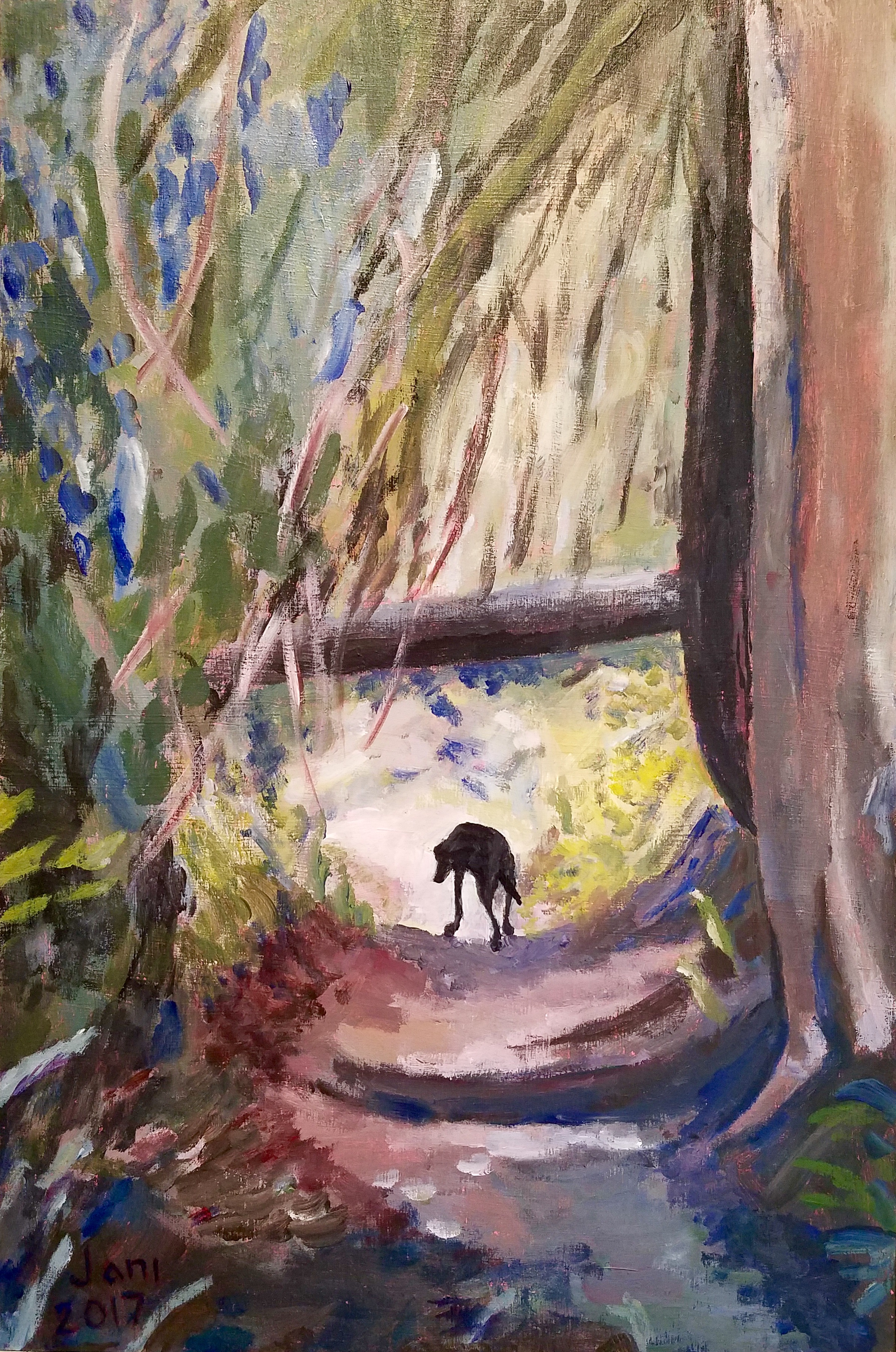 Into the Light