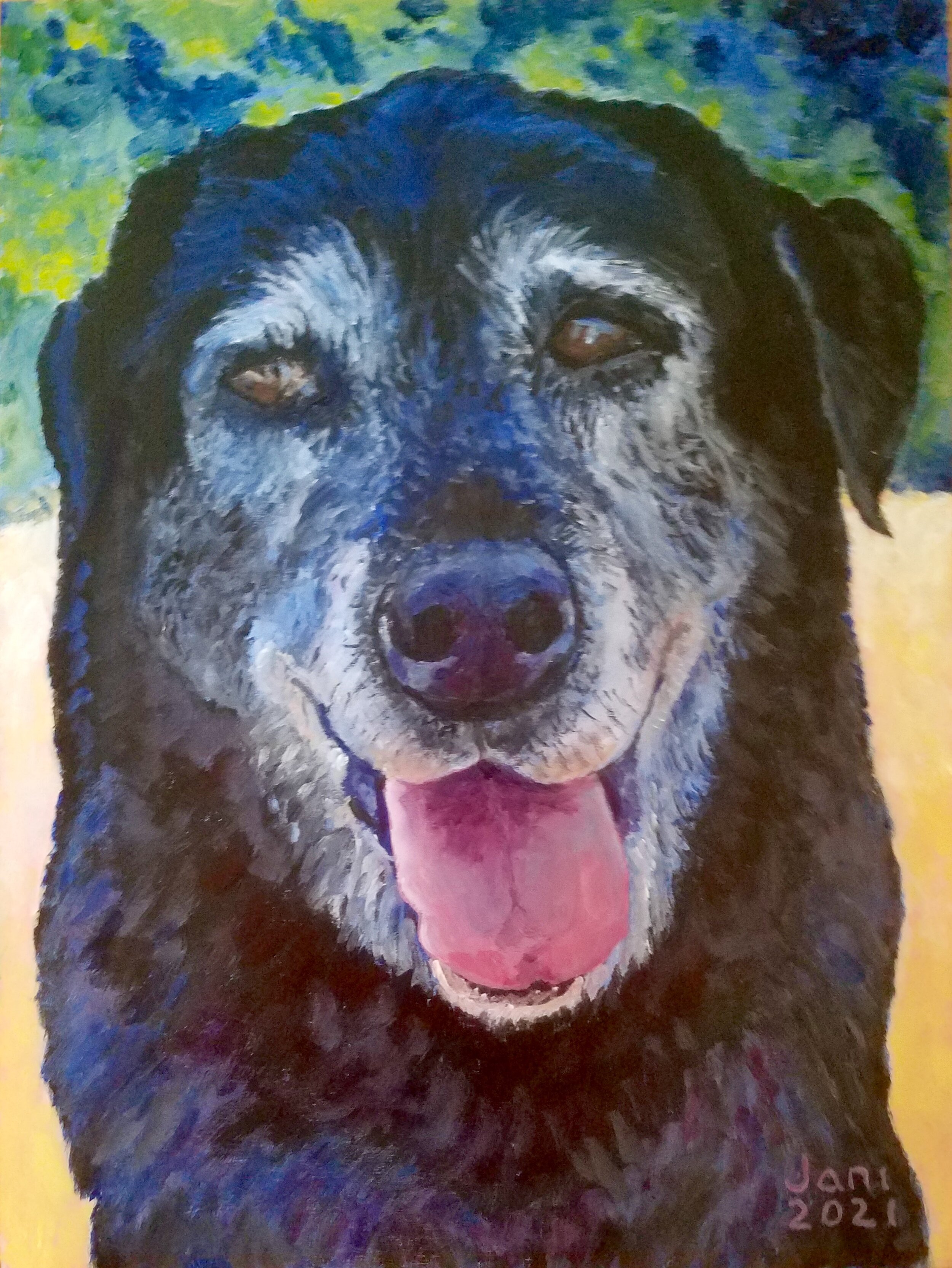 Bailey of Australia