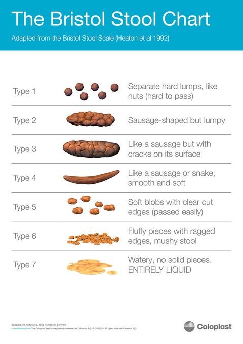 9 Tips to Boost Gut Health, Relieve Constipation and Produce a Healthy ...