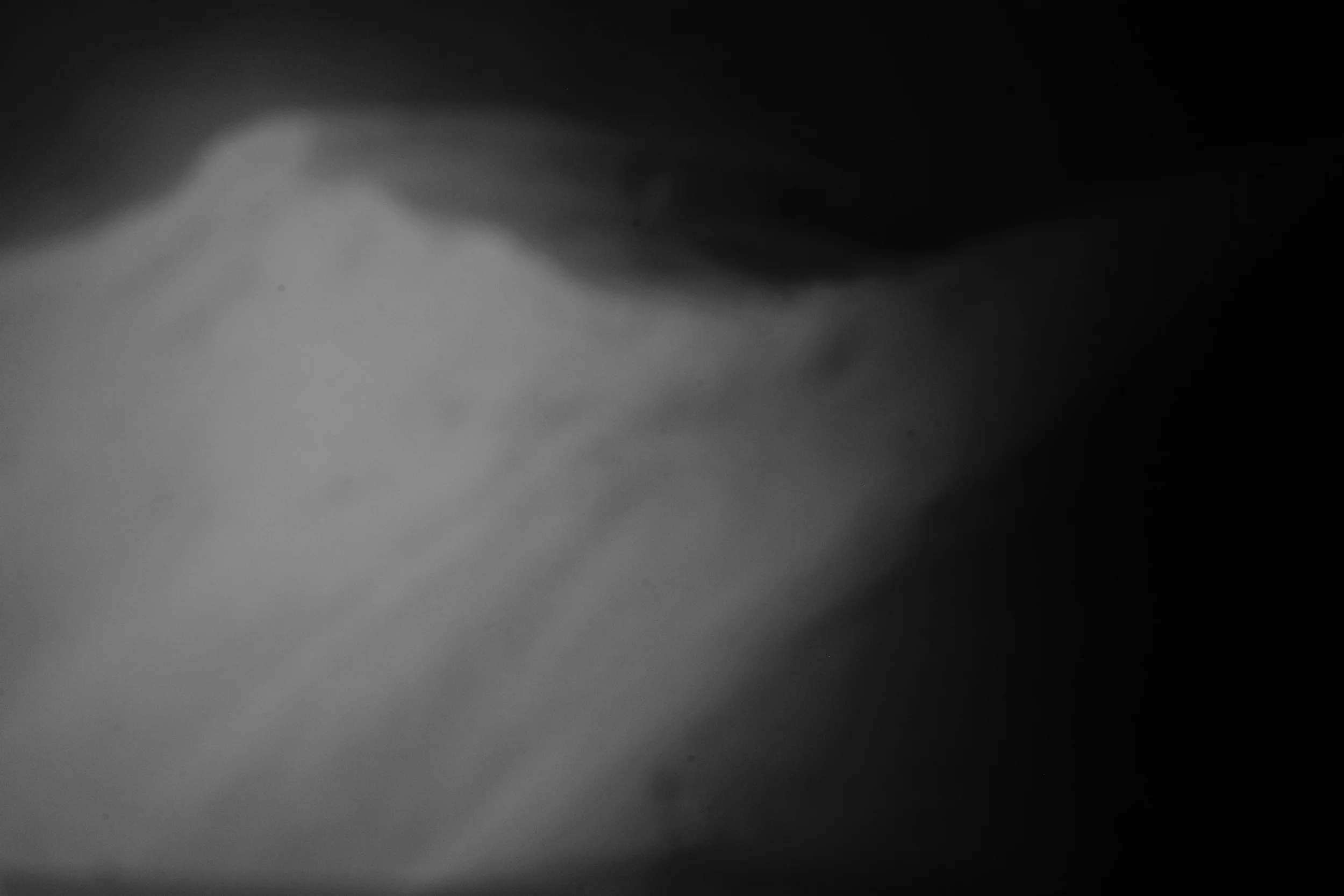 L1002443.jpg