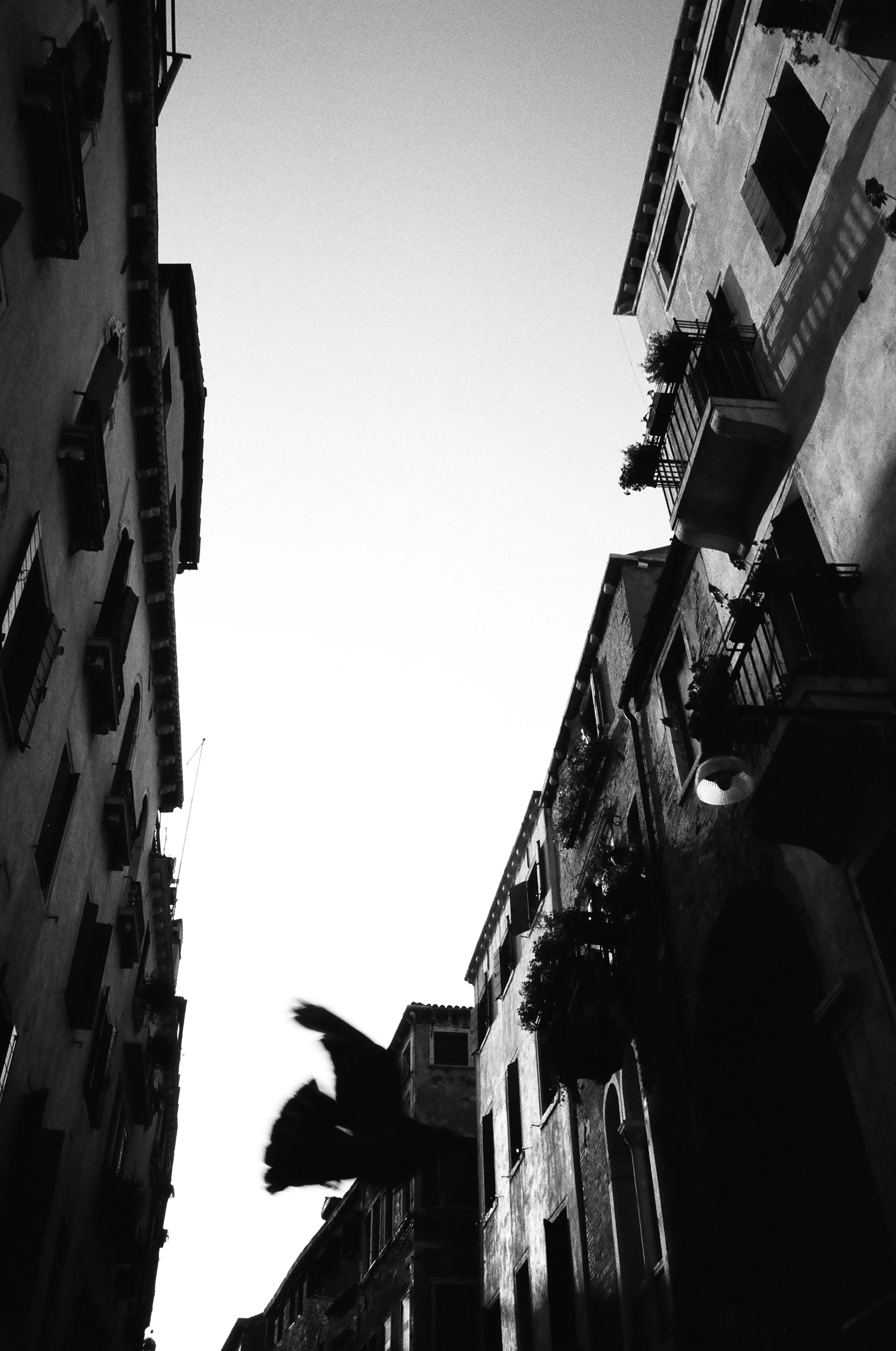 53570025.jpg