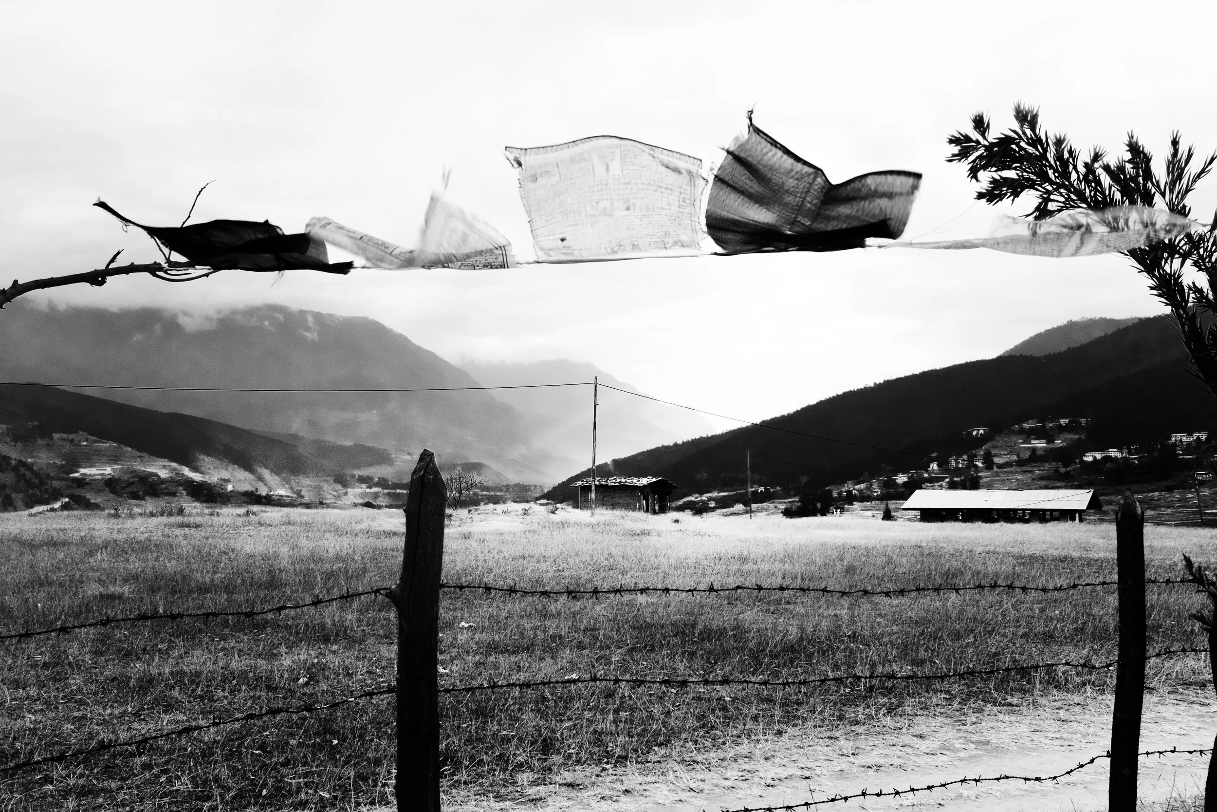 DSCF3751.jpg