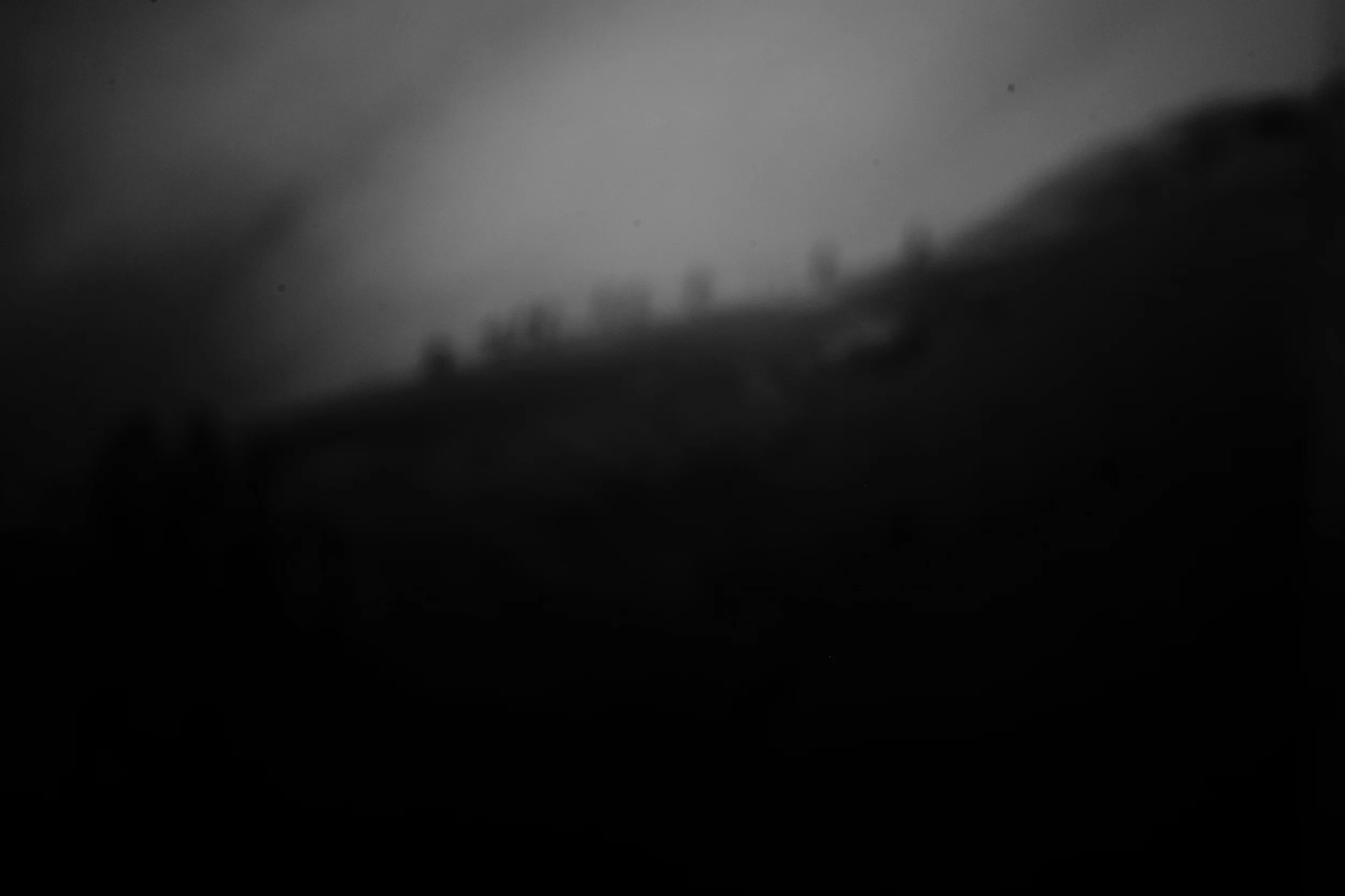 L1002442.jpg