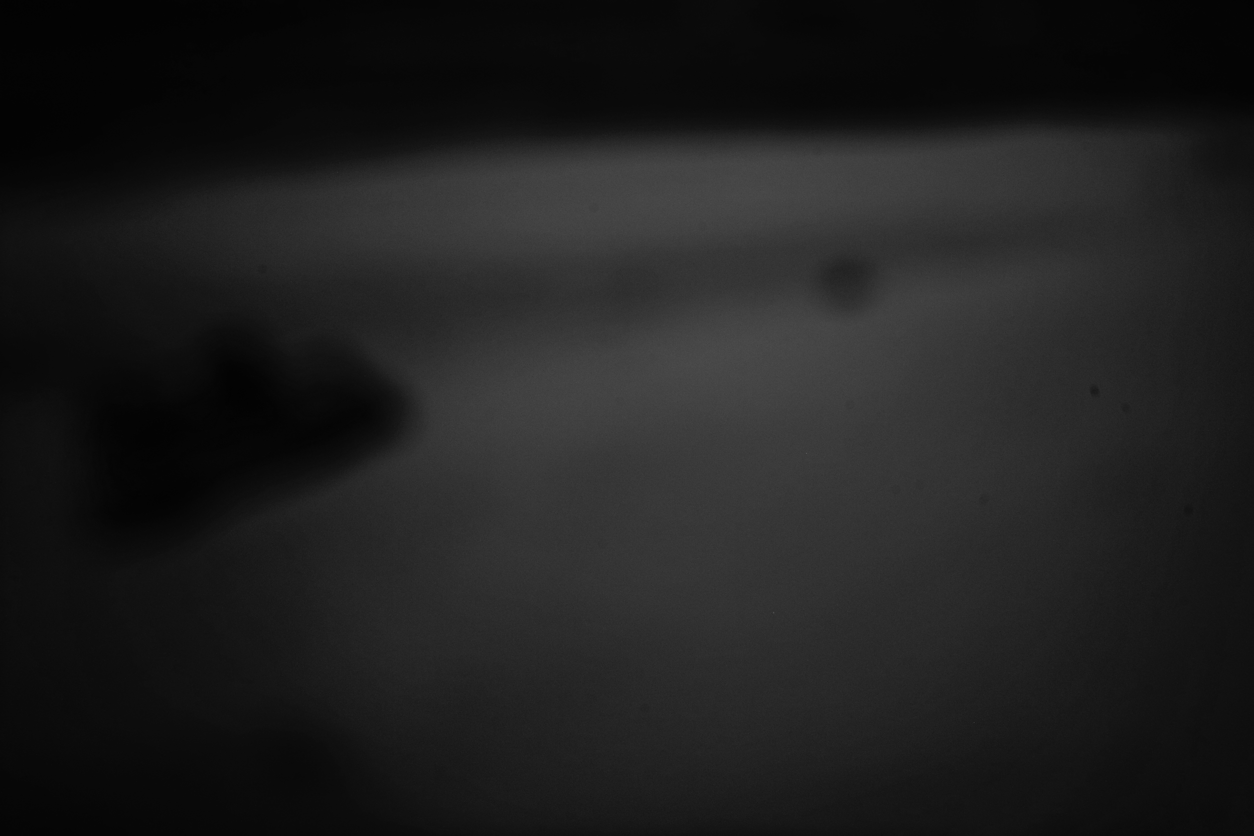 L1002517.jpg