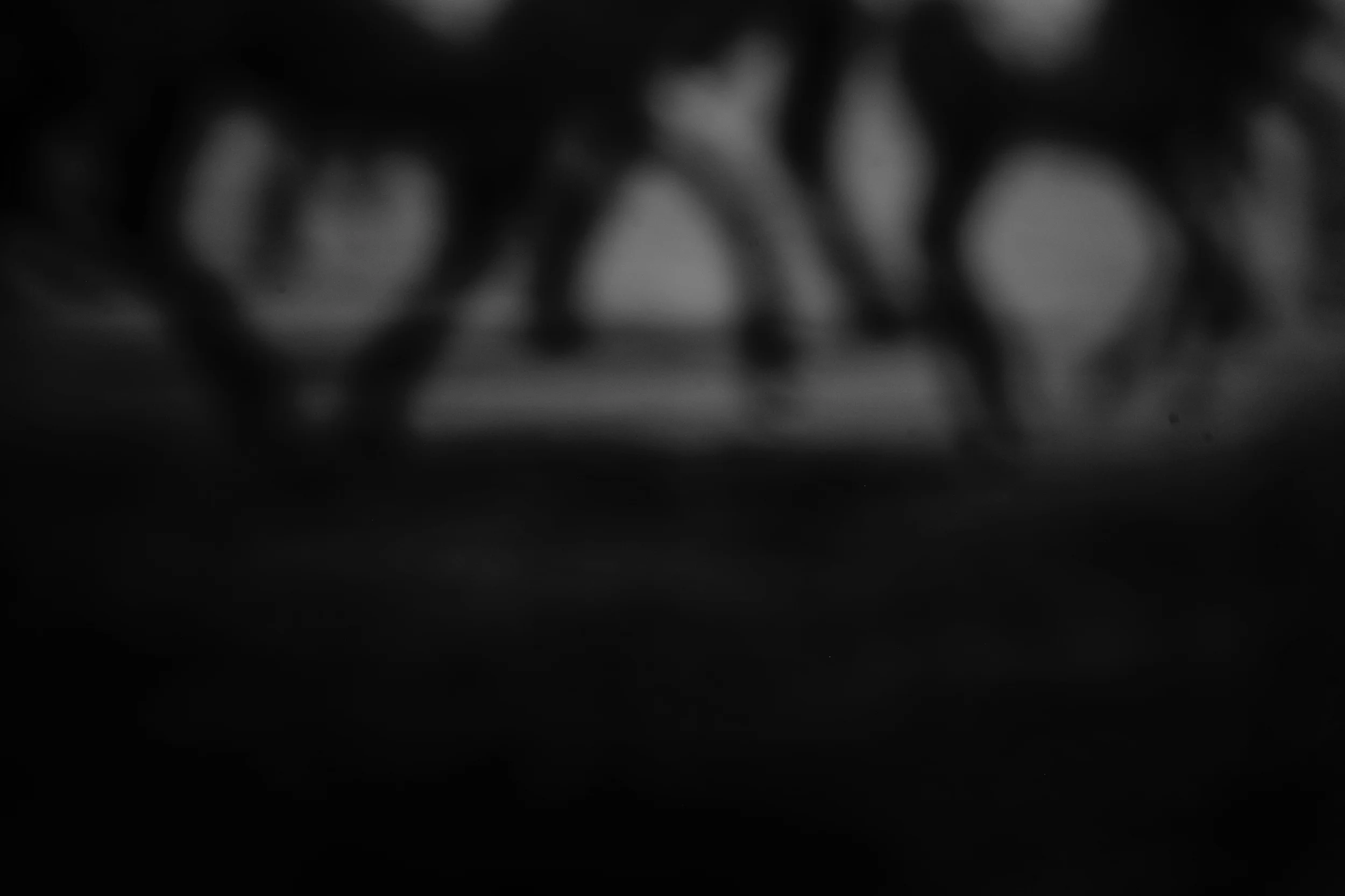 L1002555.jpg
