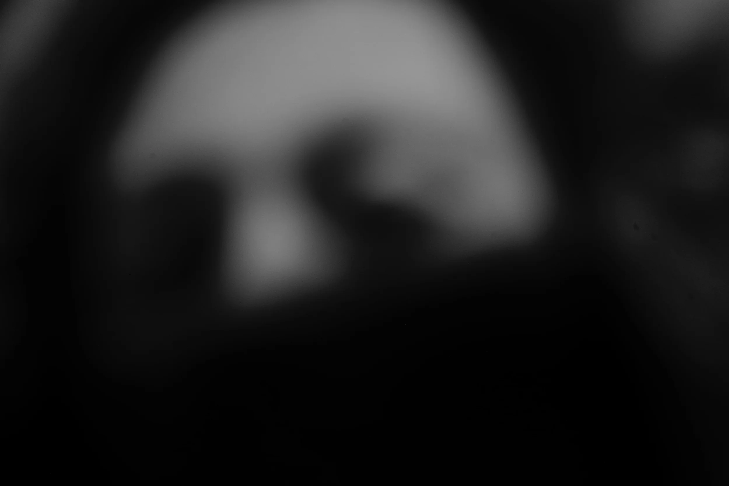 L1002575.jpg