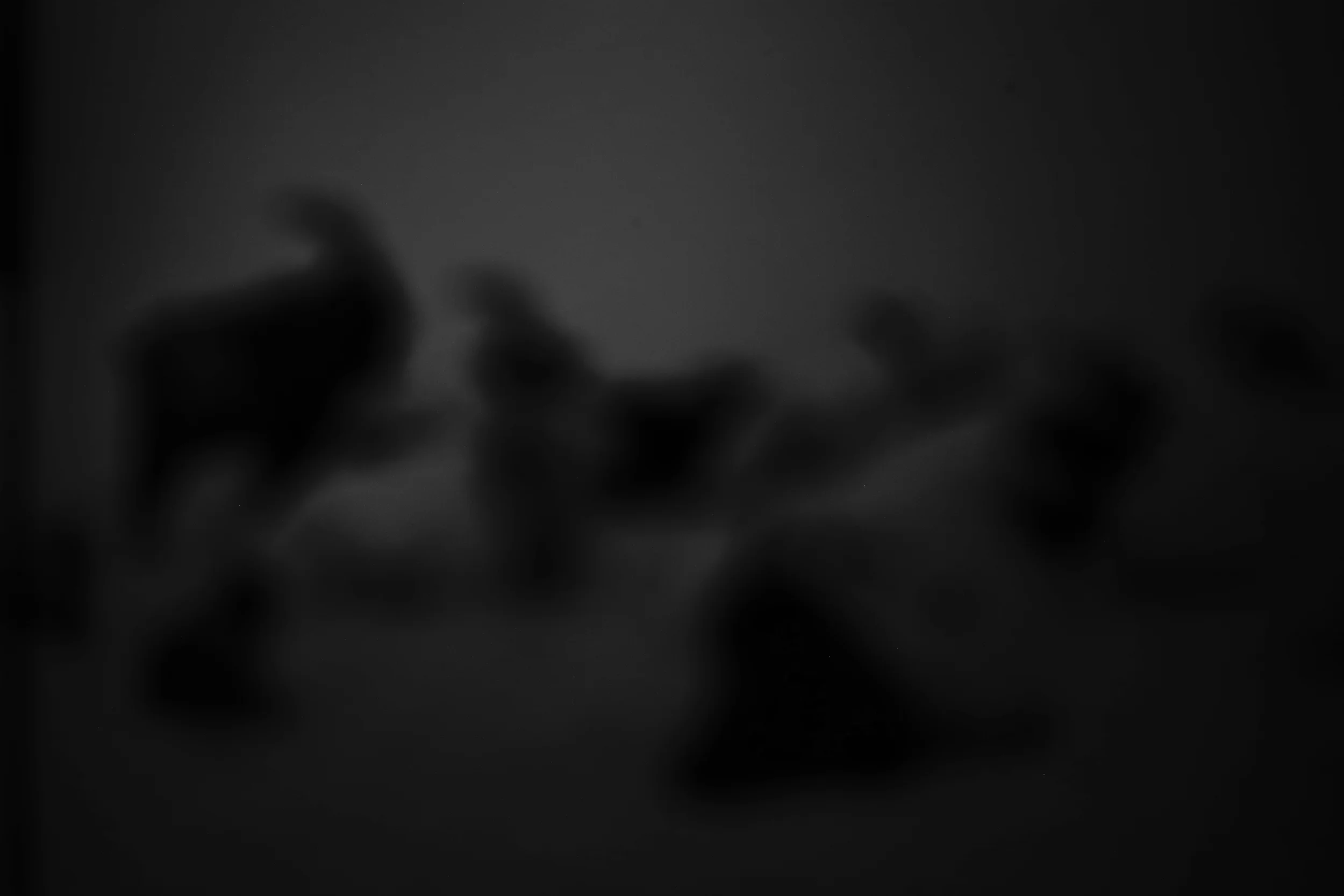 L1002597.jpg