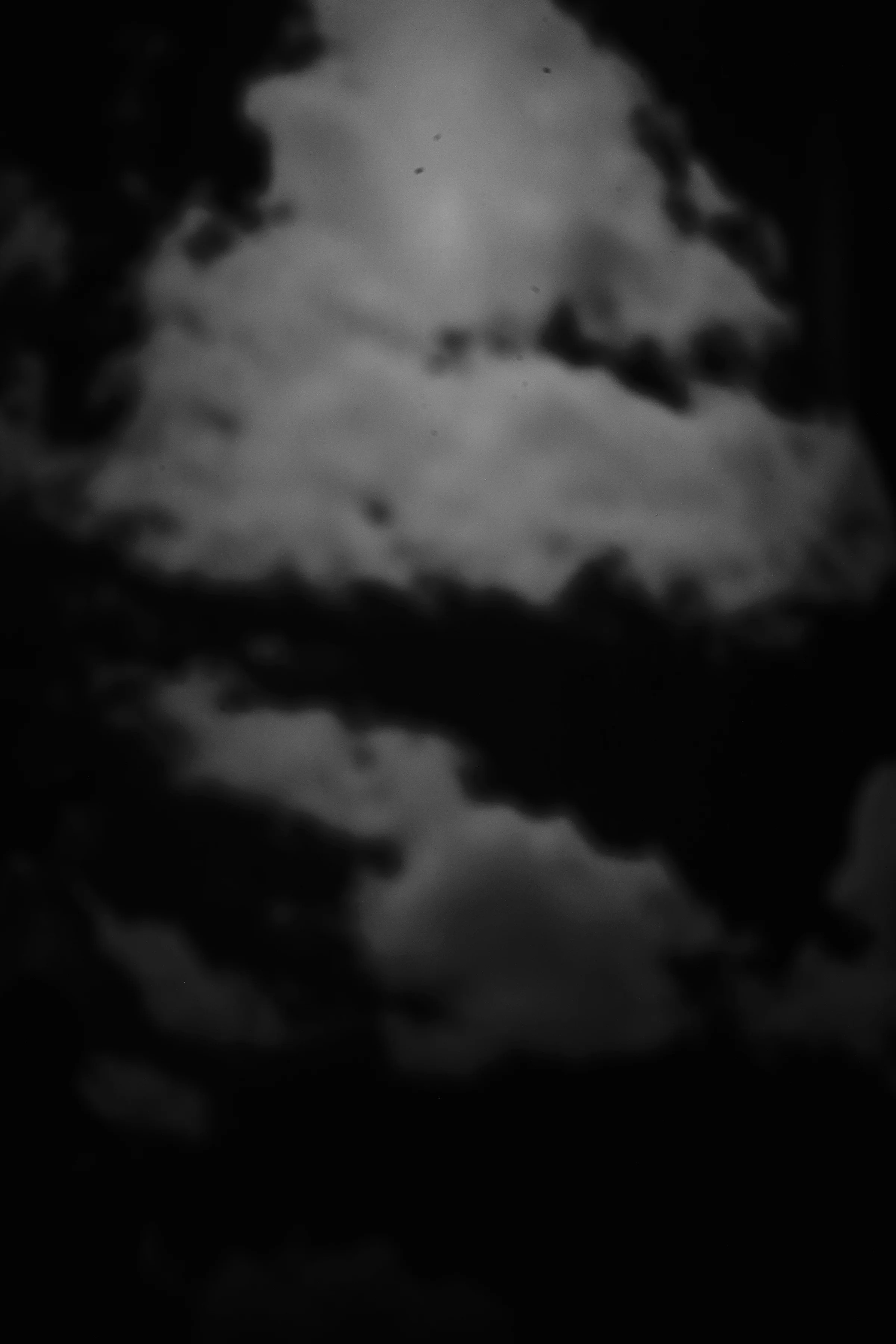 L1002580.JPG