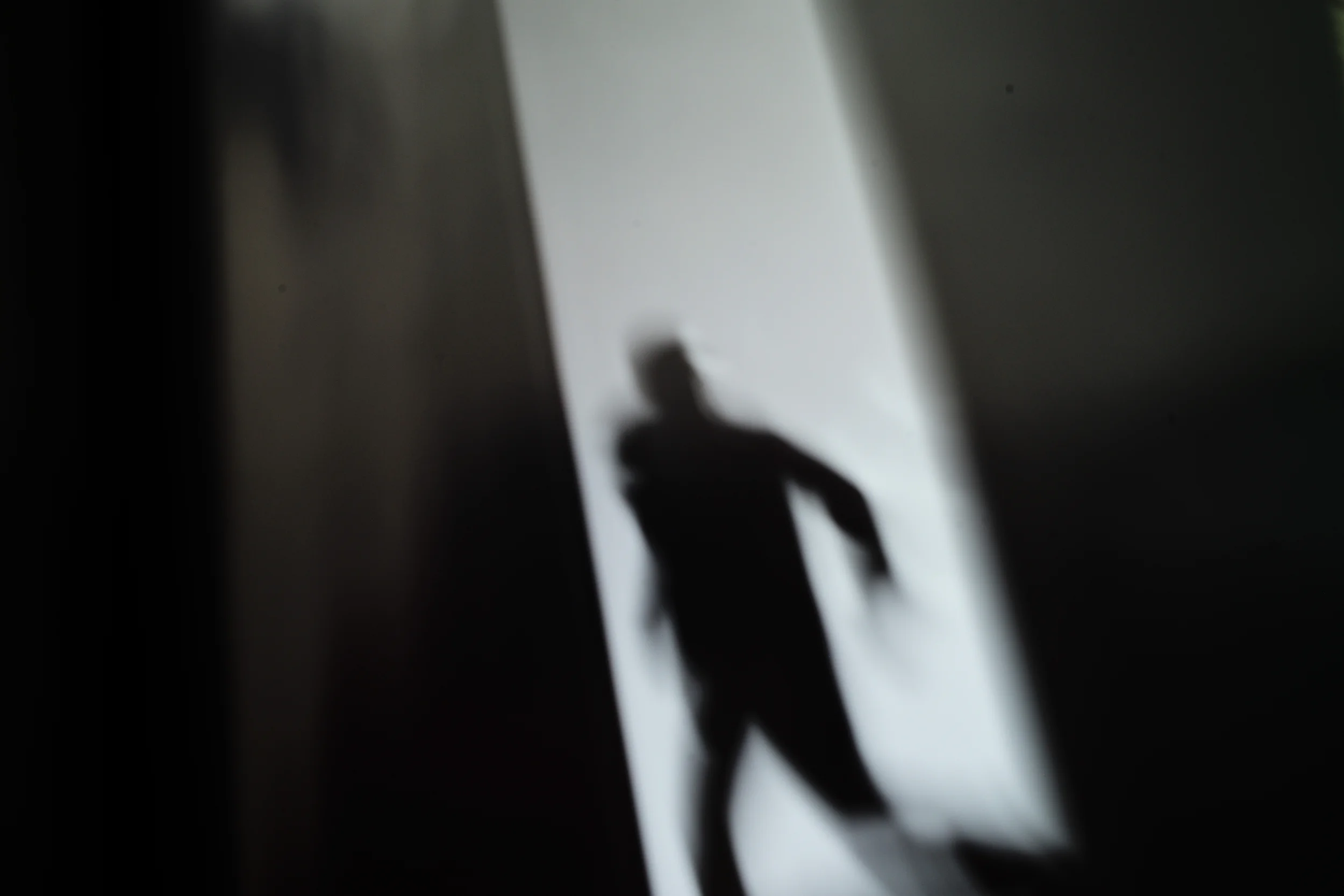 L1002676.JPG