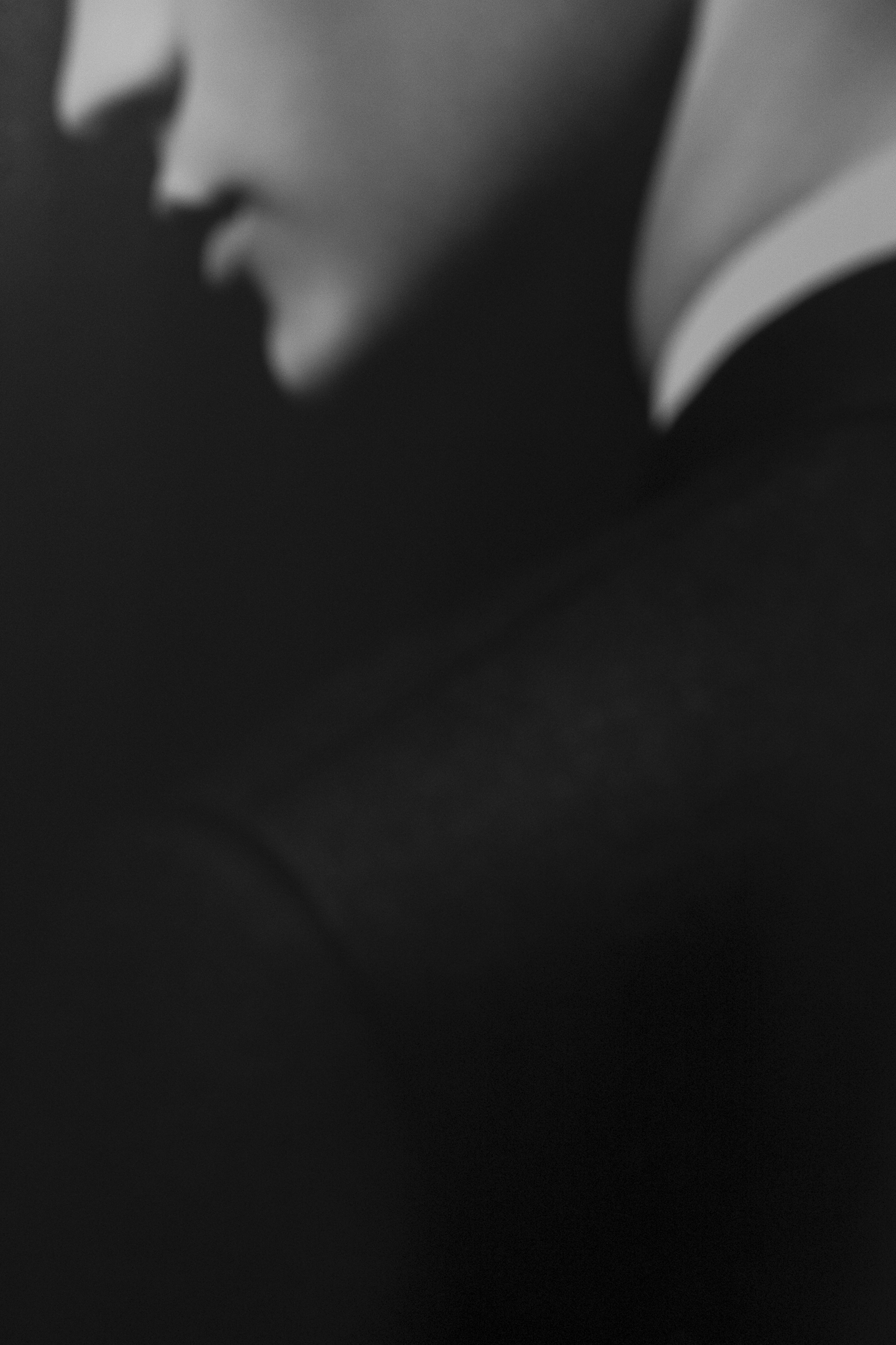 DSCF1007.jpg