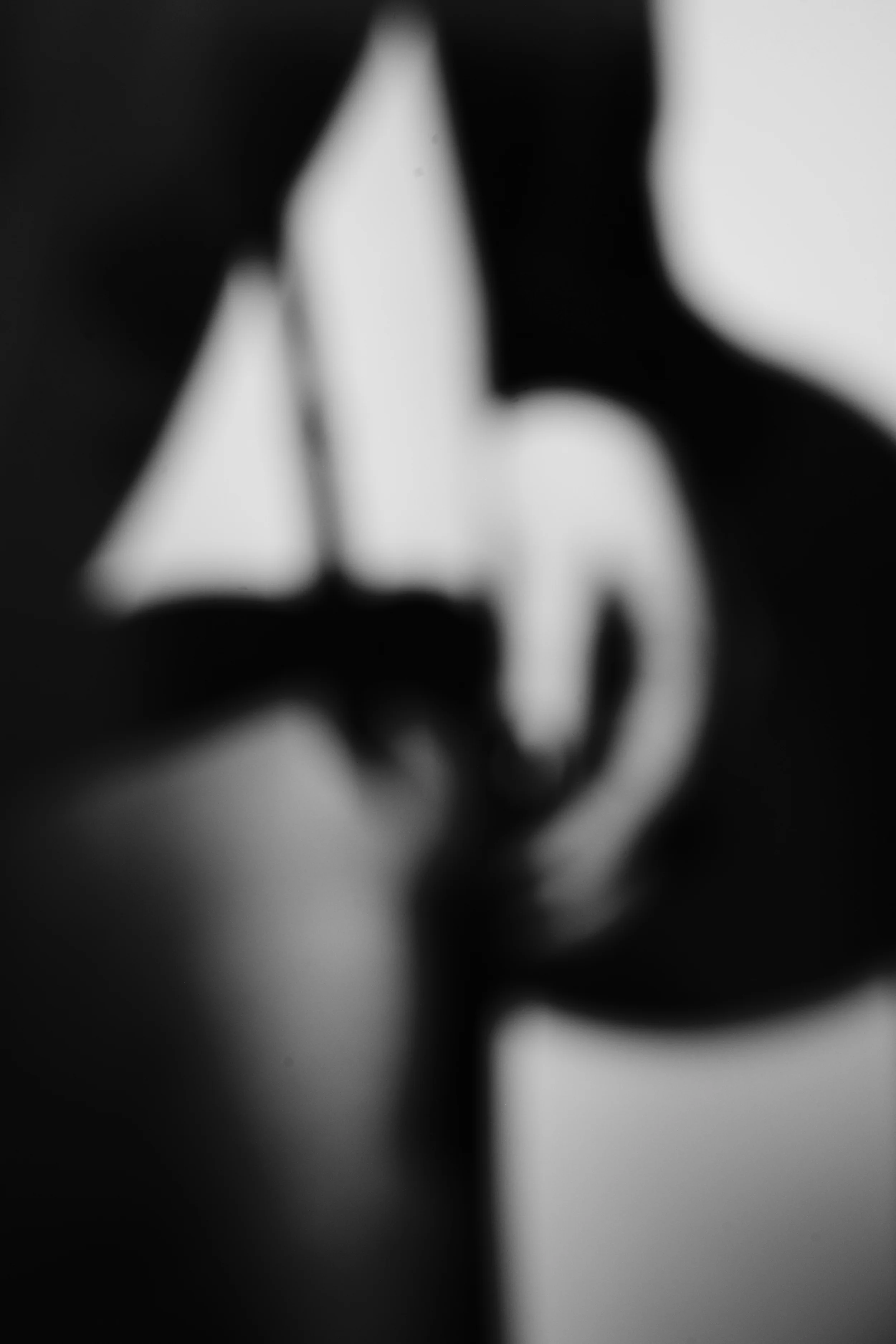 L1002767.jpg
