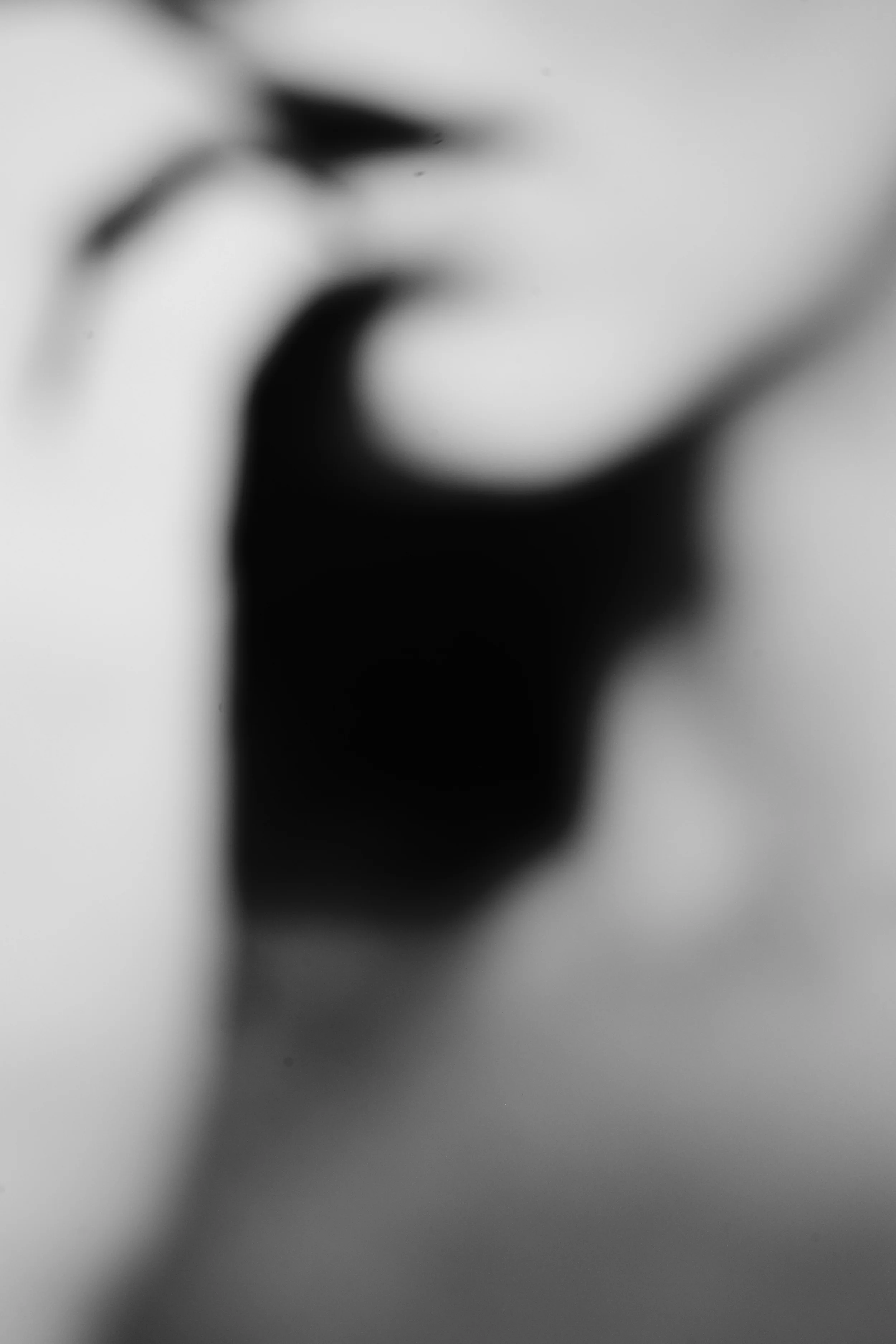 L1002752.jpg