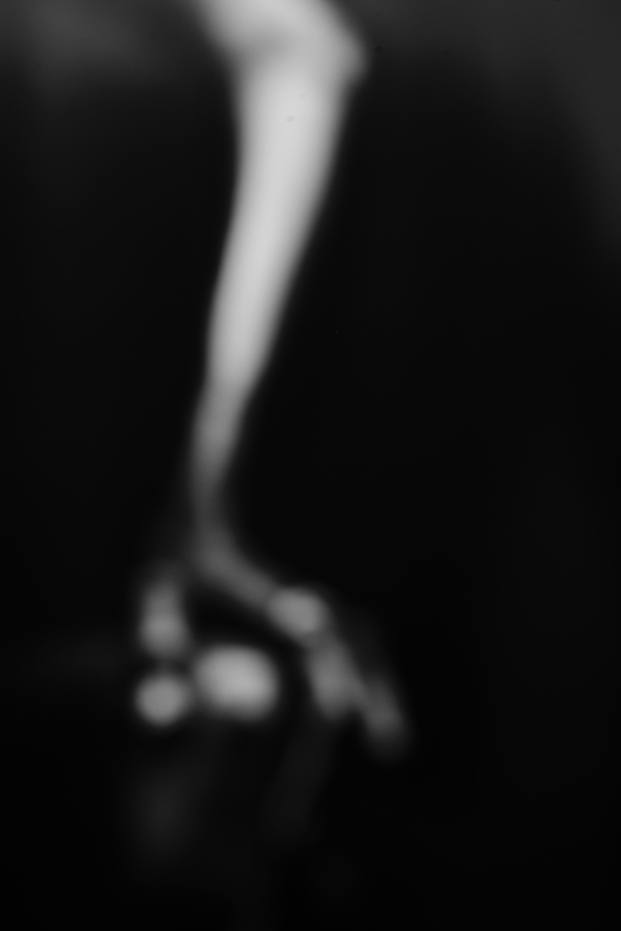 L1002747.jpg