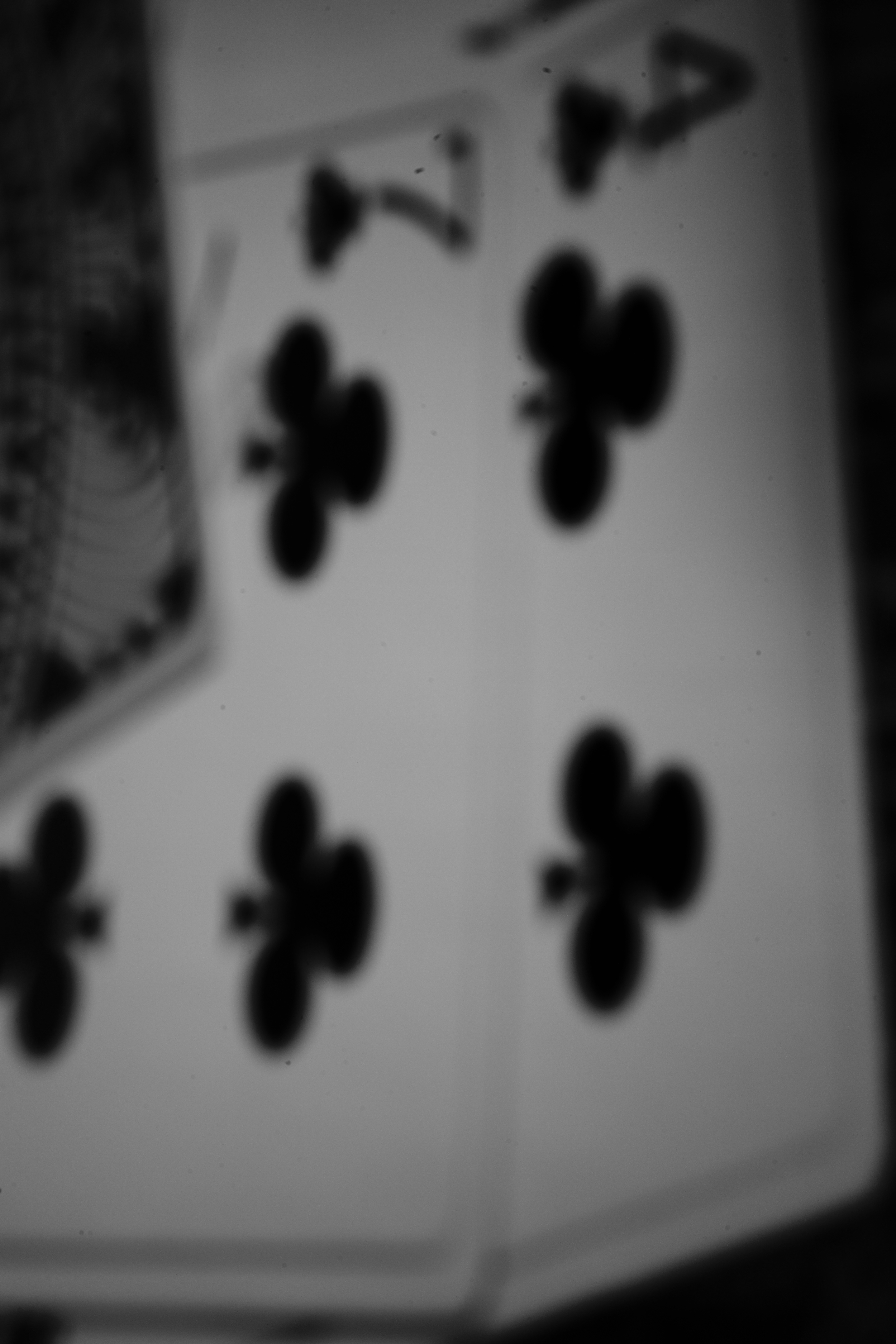 L1002715.jpg