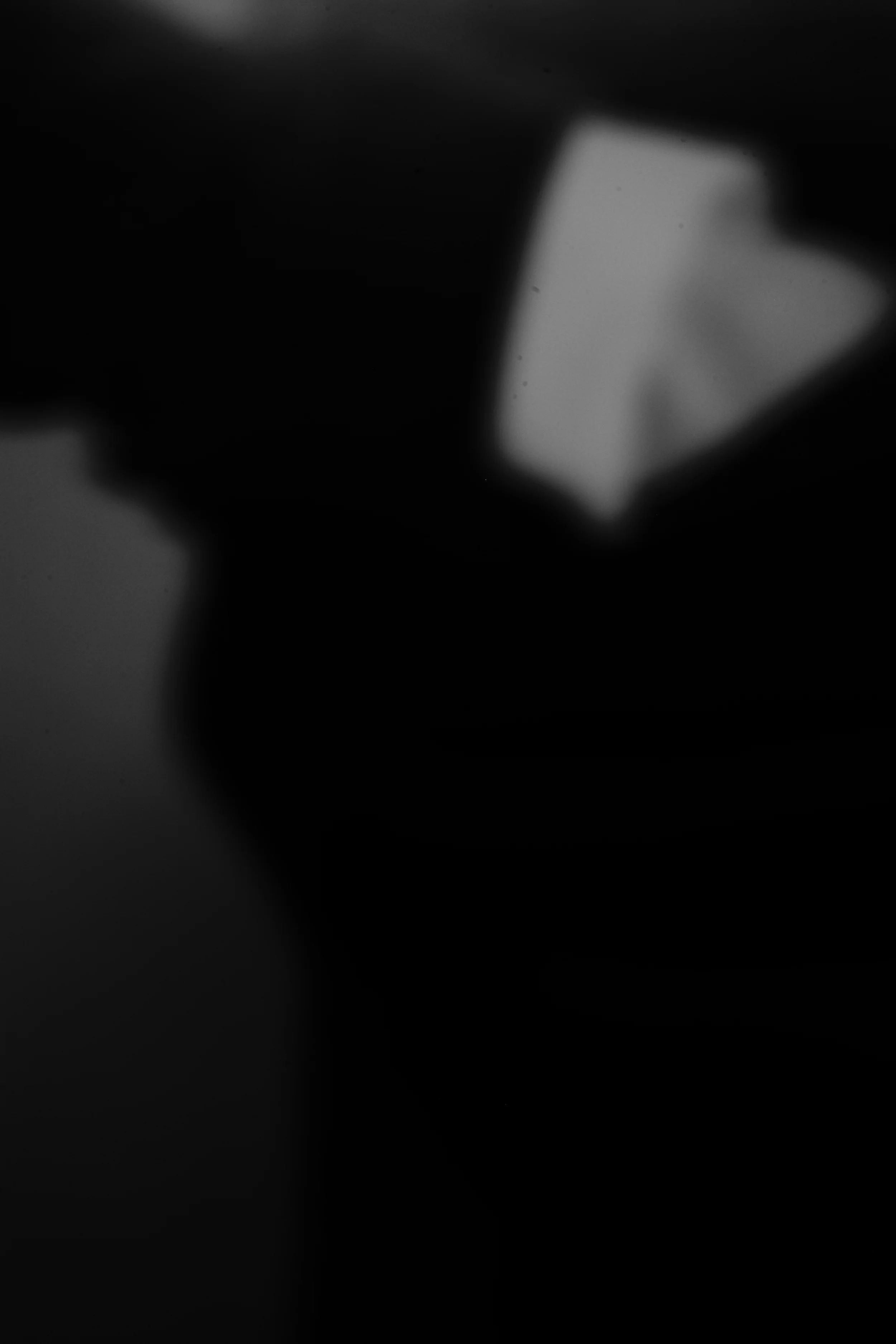 L1002714.jpg