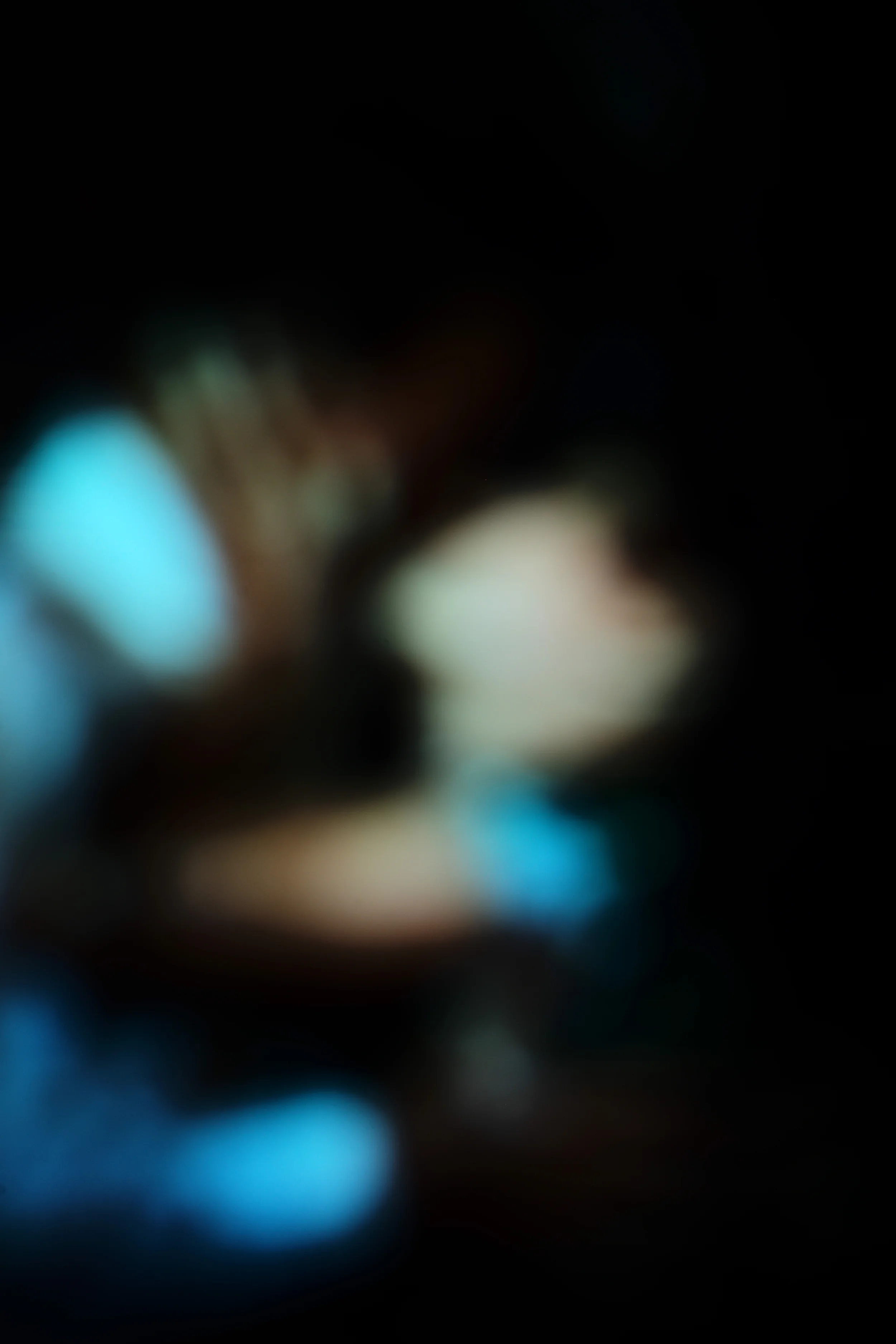 L1003145.JPG