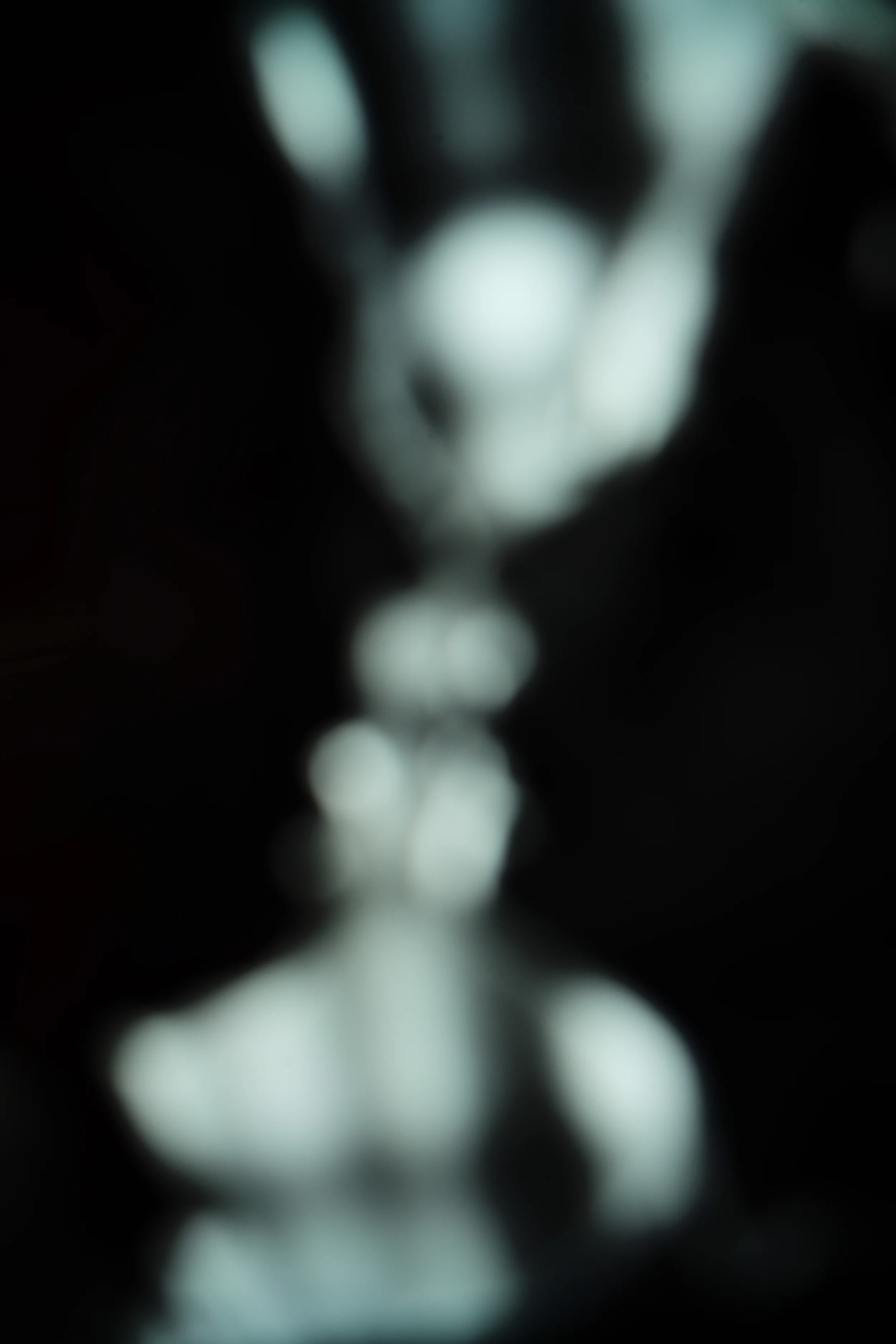 L1003135.JPG
