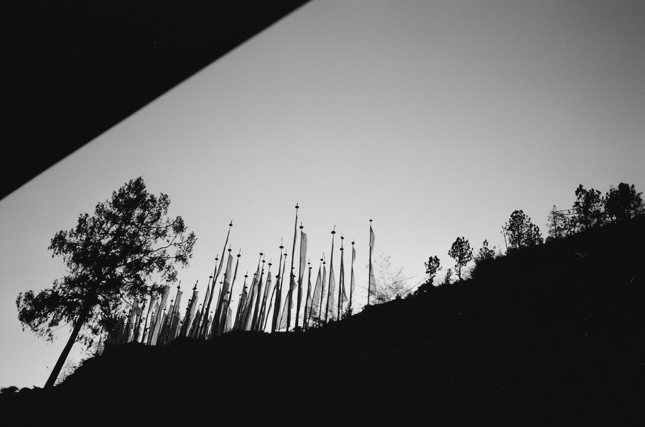 70760015.jpg