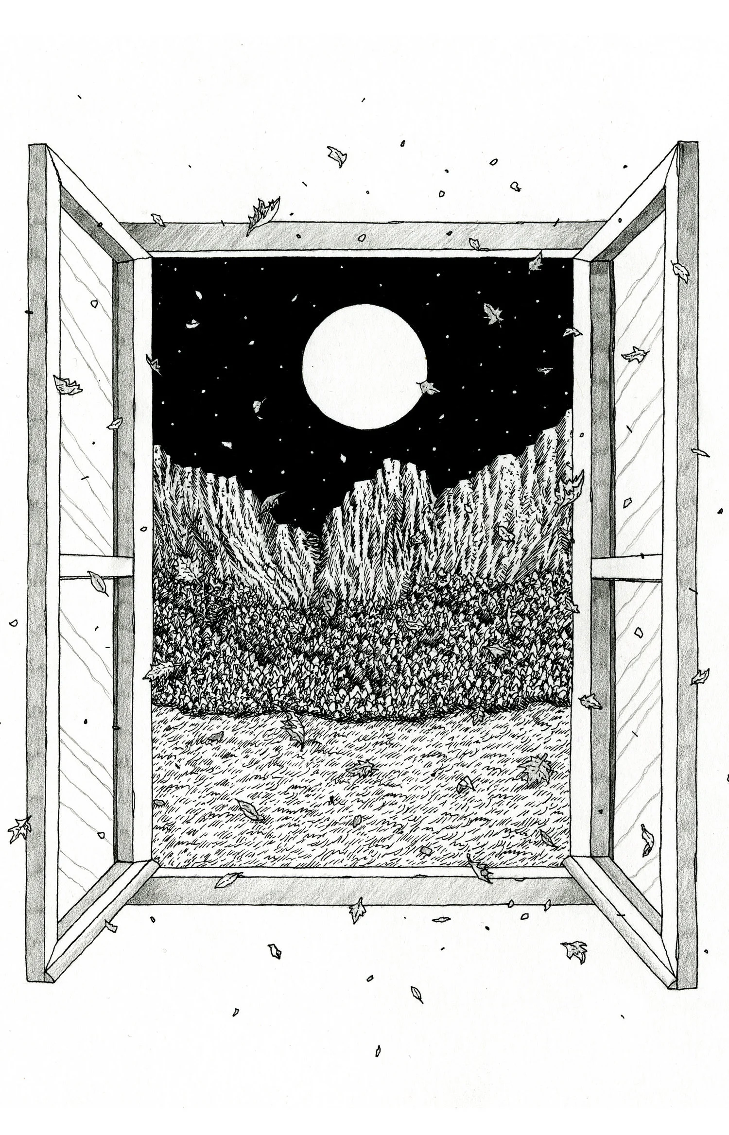 image-10.jpg