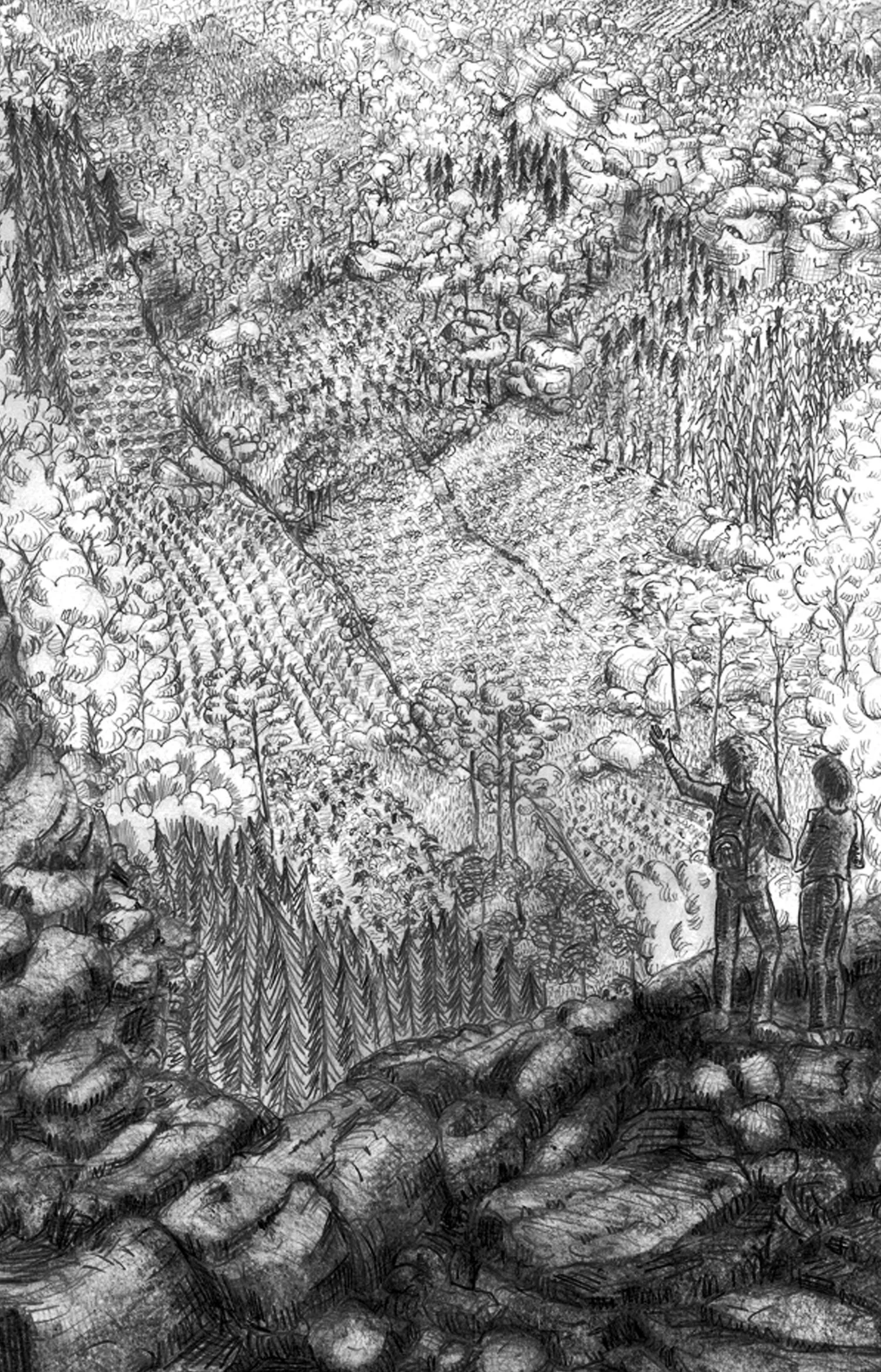 image-17.jpg