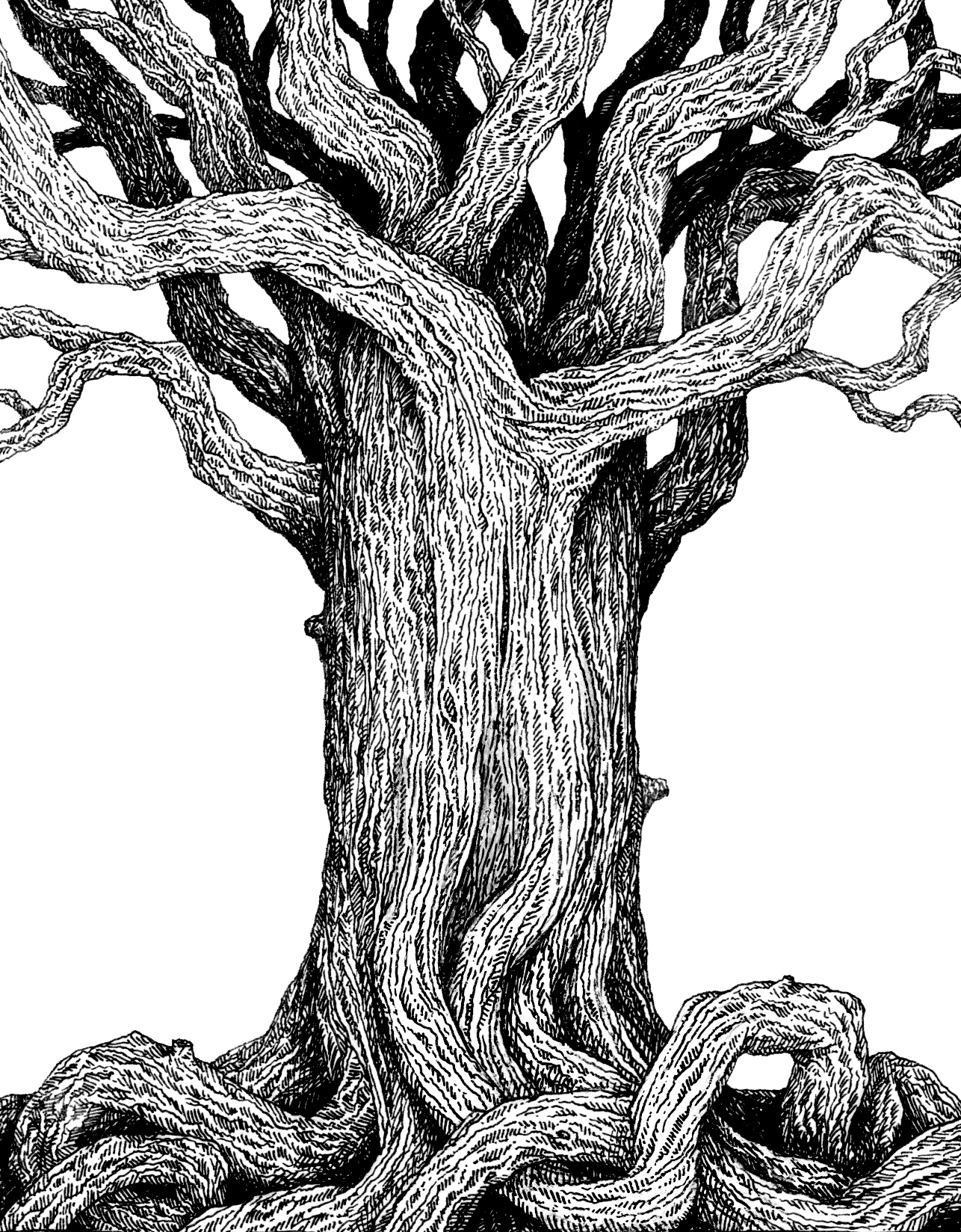 world_tree.jpg