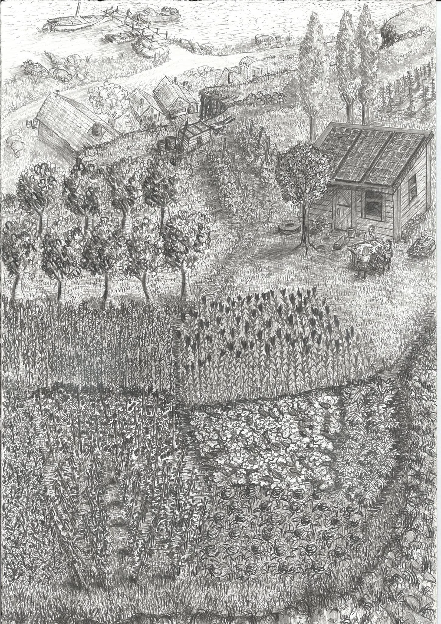 Illustration By Carlos Uribe