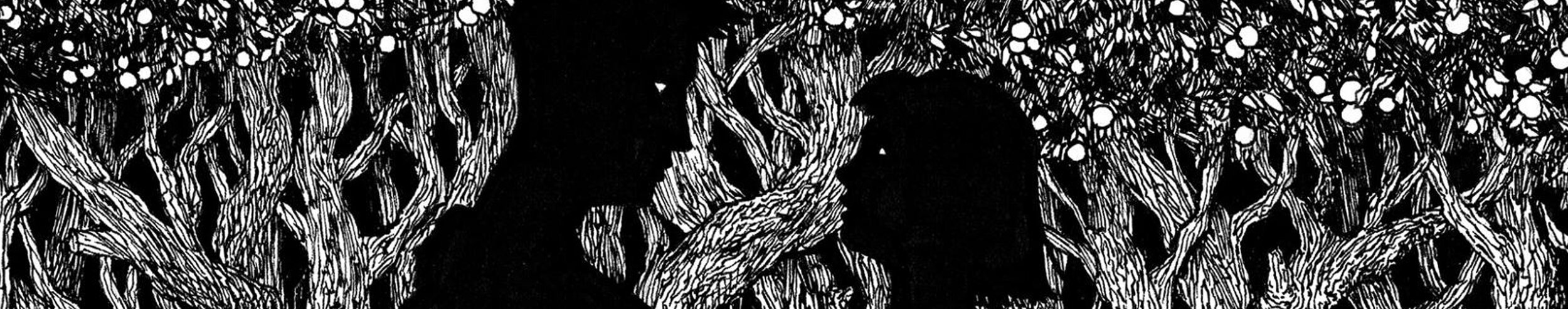 LOW IILLUSTRATIONS BANNER.jpg