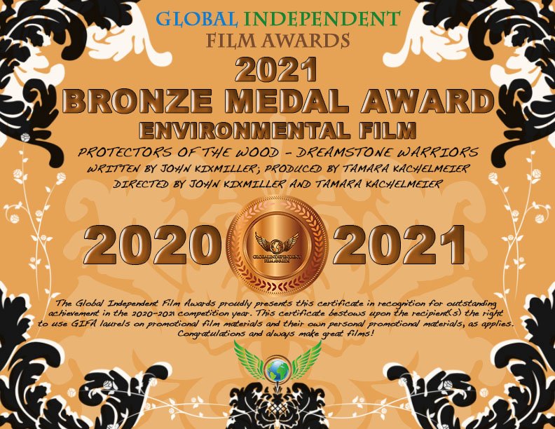 3 Bronze Award Certificate, ENV, PROTECT.jpg