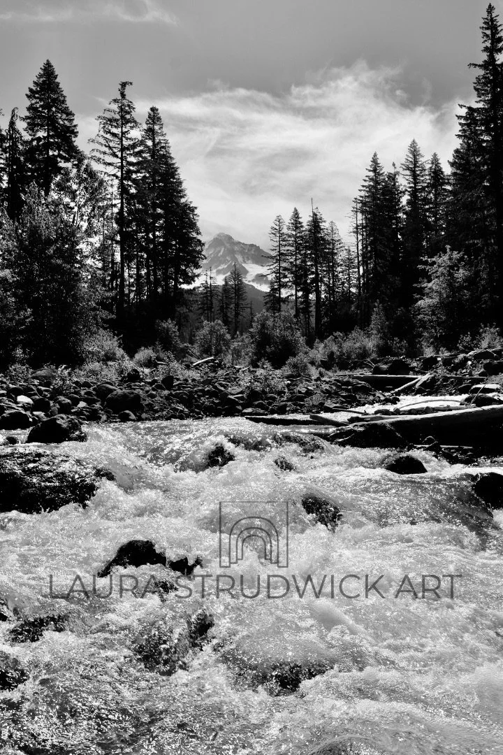 Turbulent Sandy with watermark.jpeg