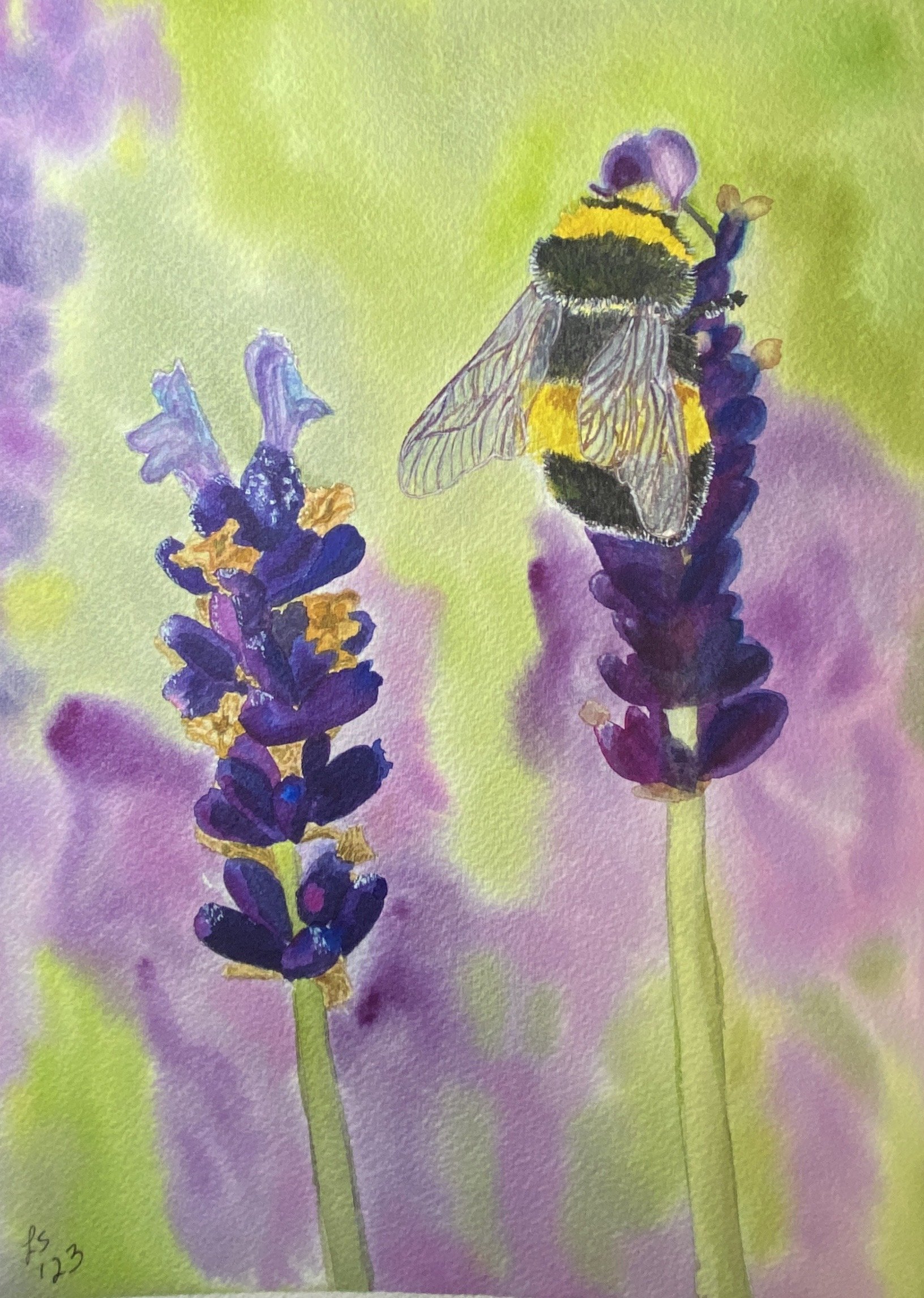 Bee purple.JPG