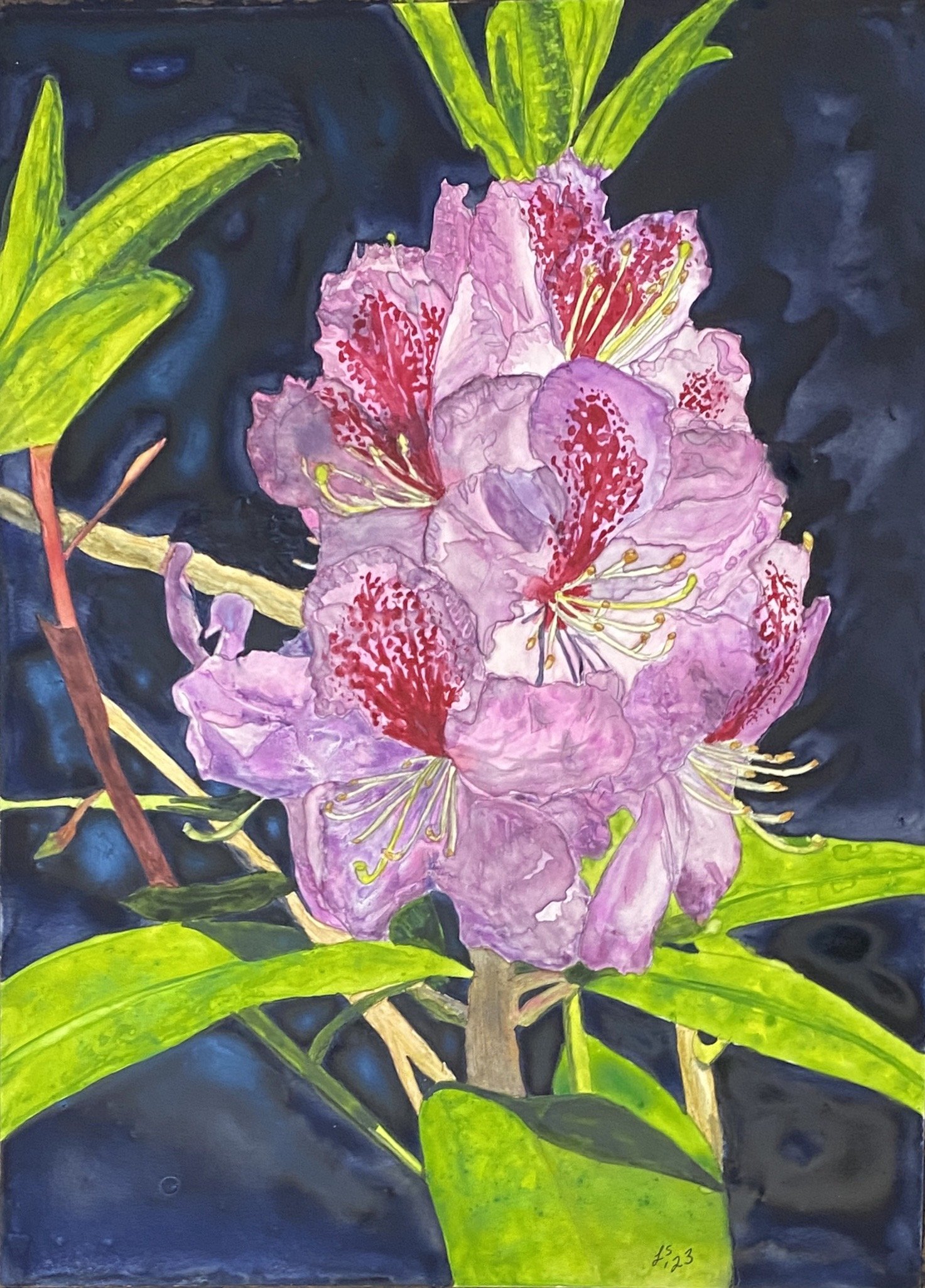 Rhododendron on mineral paper.JPG