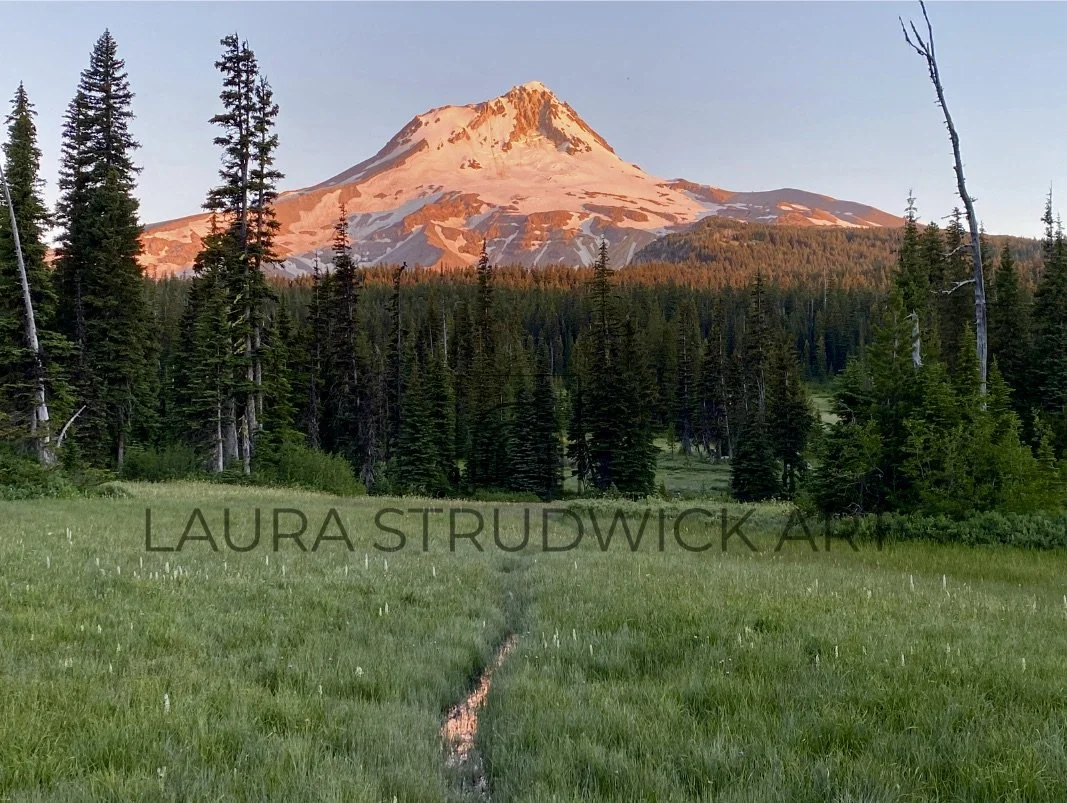 Elk Meadows Sunrise photo with watermark.jpeg